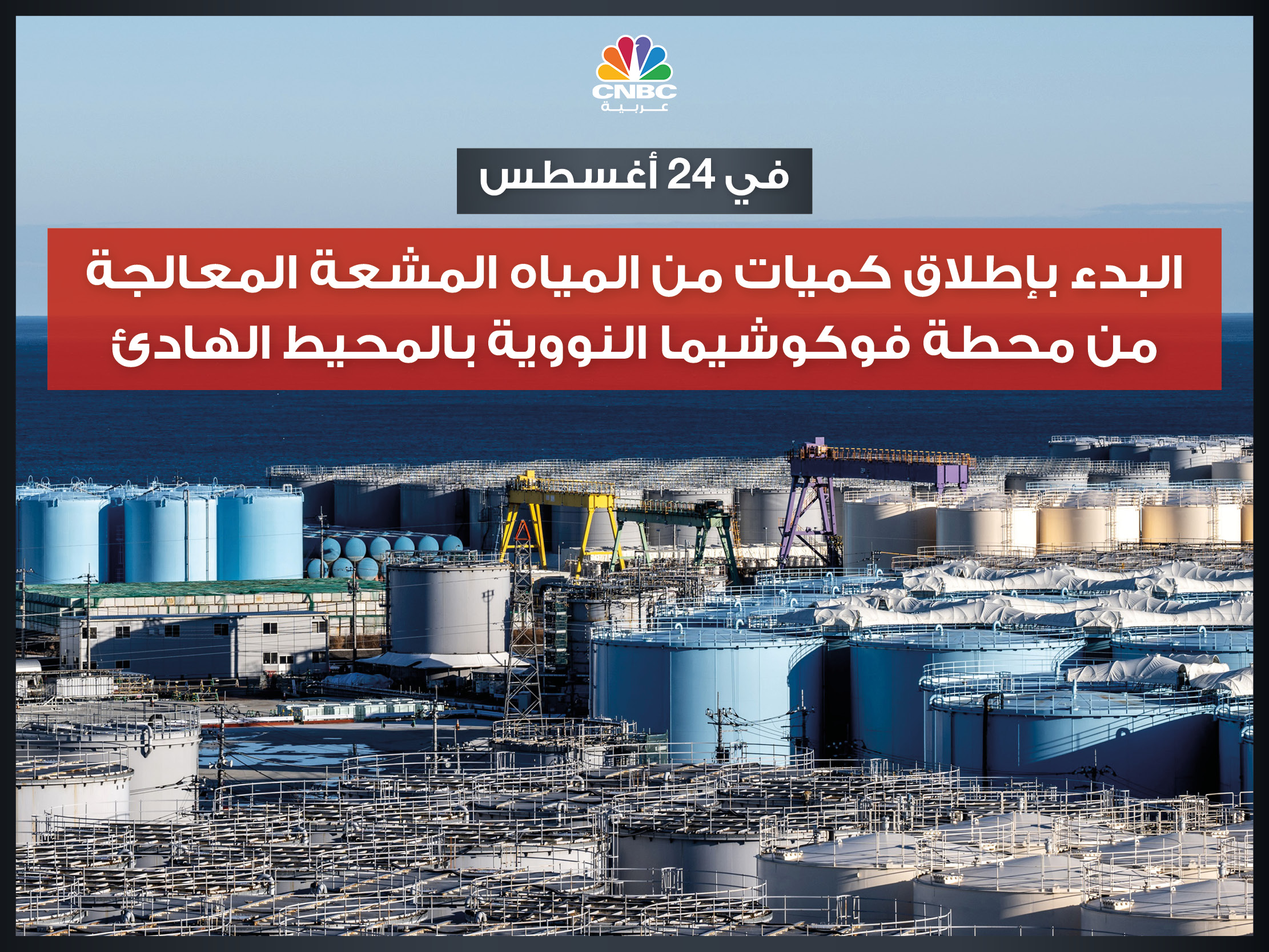 alt for 901065dec56.jpg 