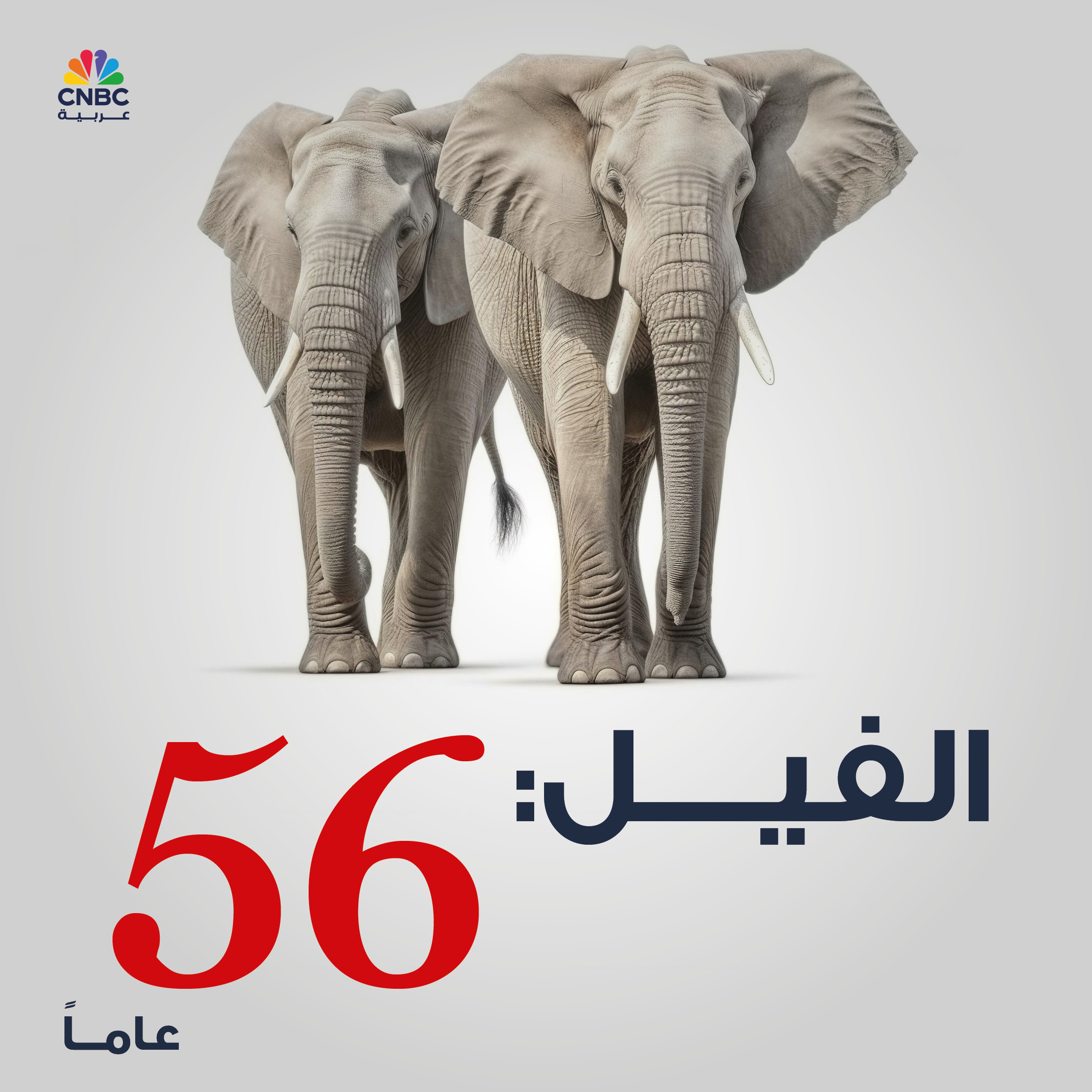 alt for 9082ba1a61.jpg 