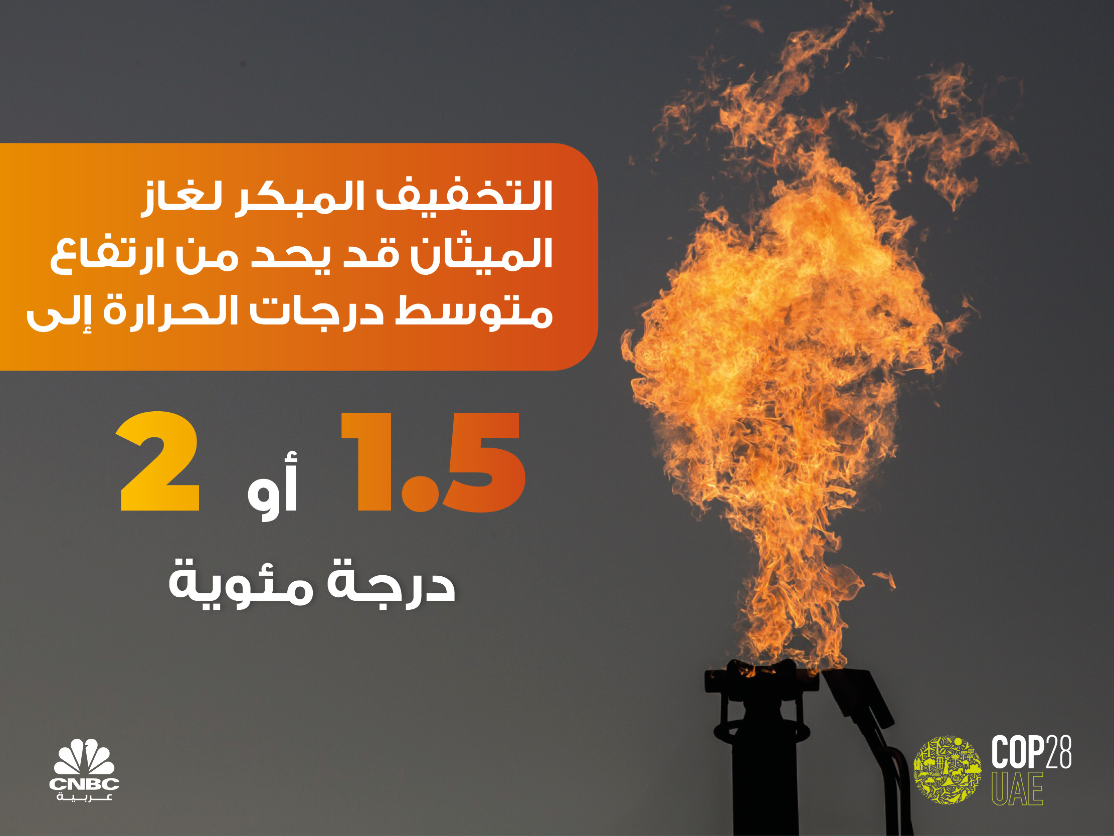 alt for 93c10b26cdf.jpg 