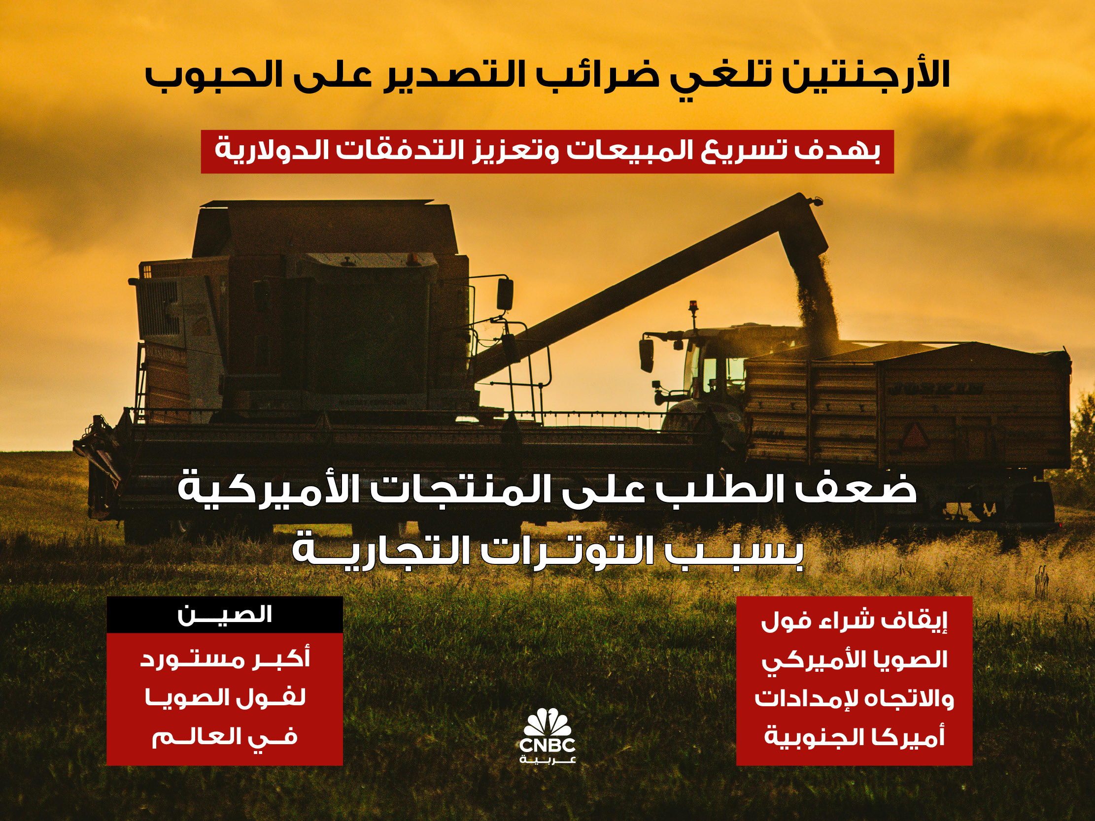 alt for 9a17d11c75.jpg 