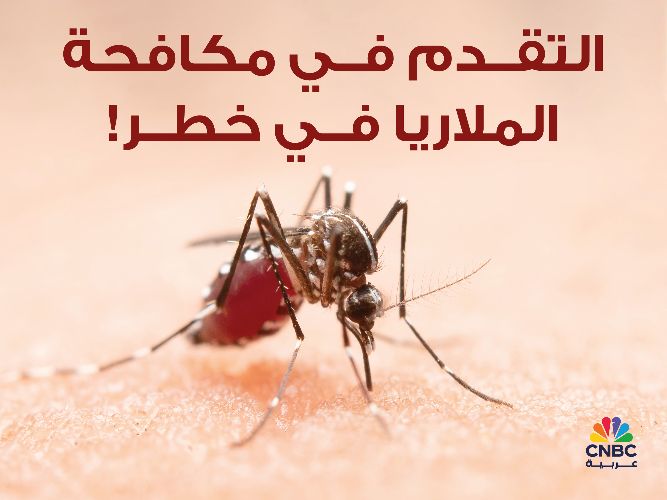 alt for 9aa76baa3f.jpg 