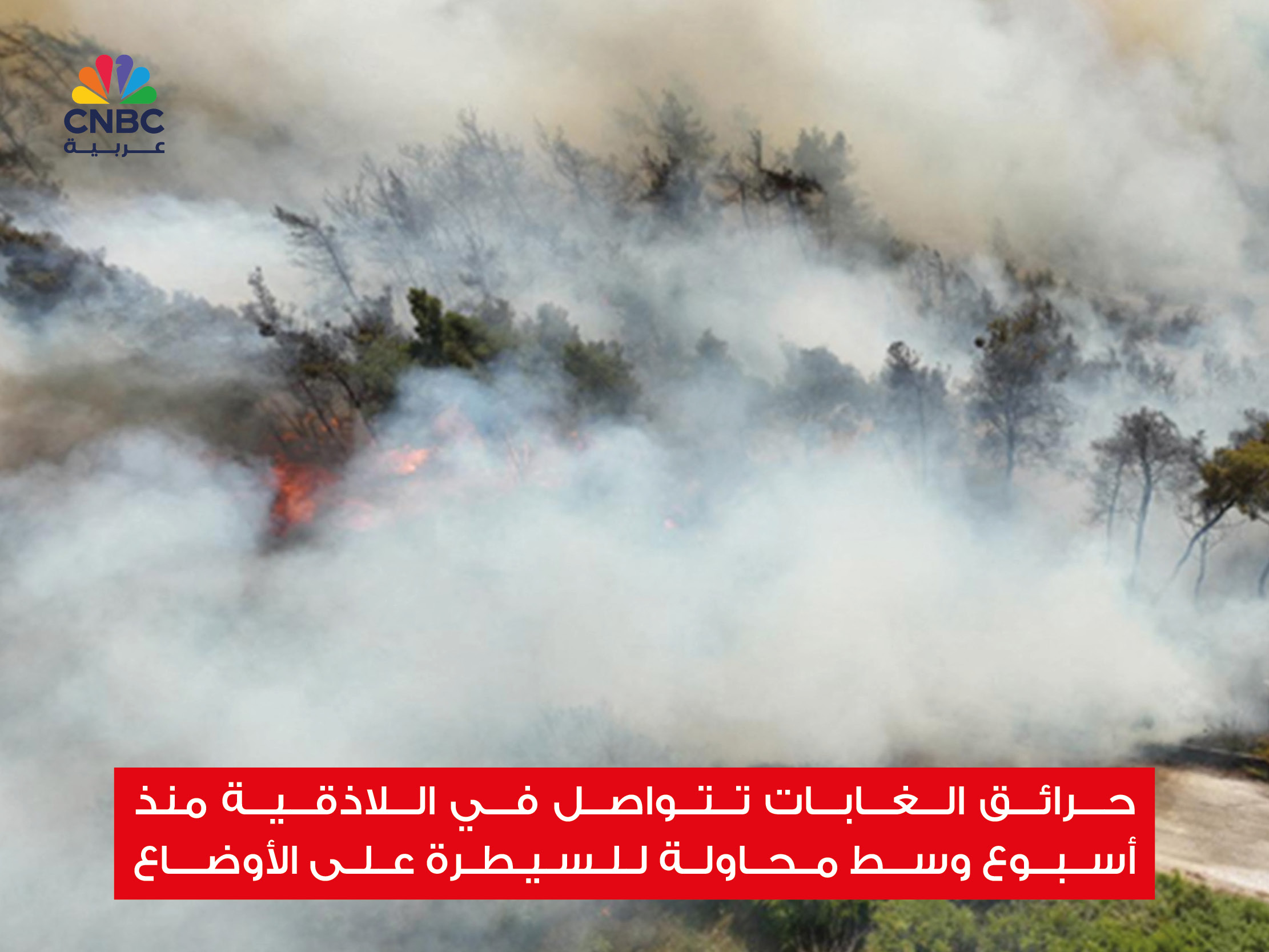 alt for a2e51720f1.jpg 