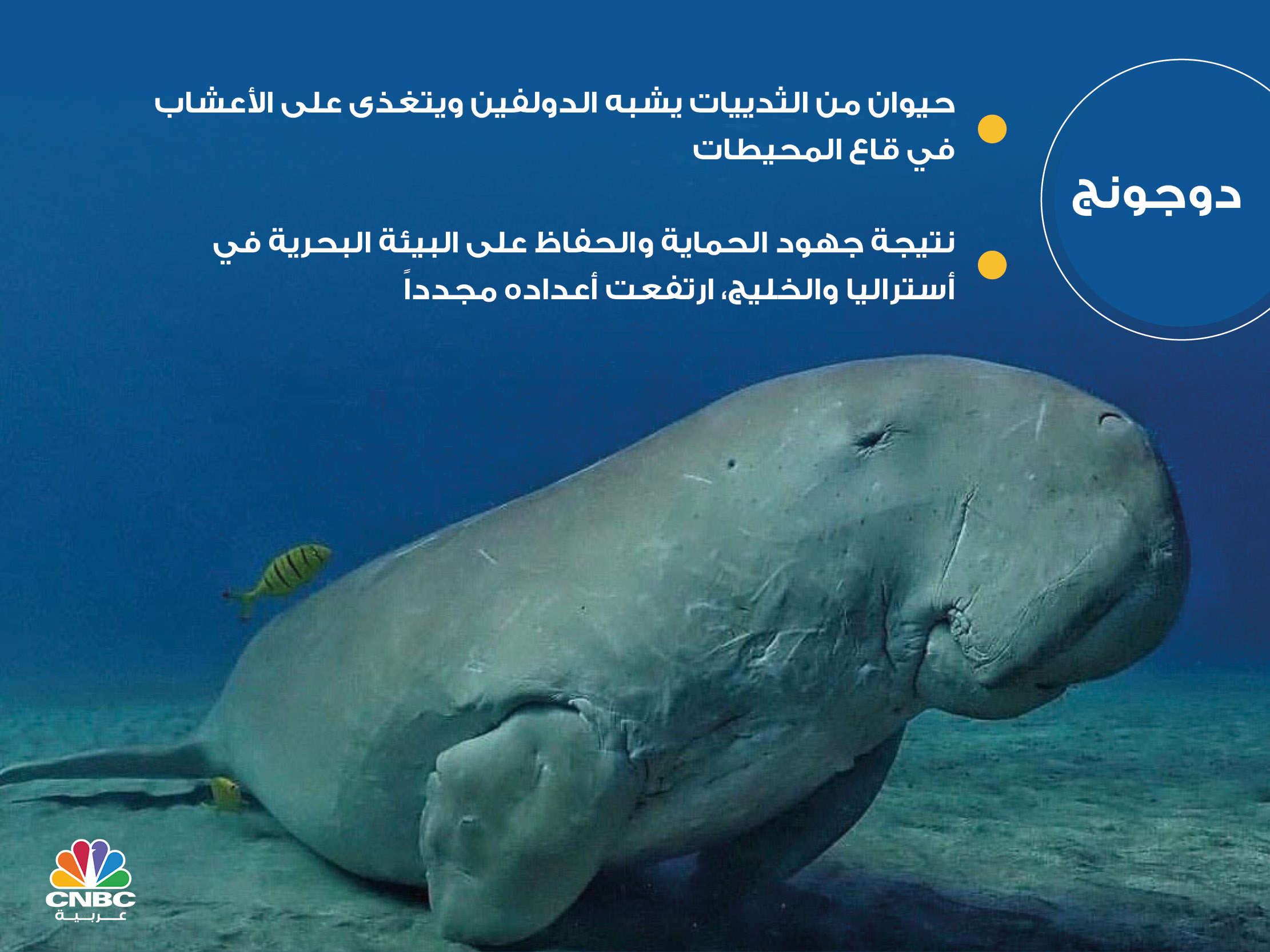 alt for a42719f4c1.jpg 