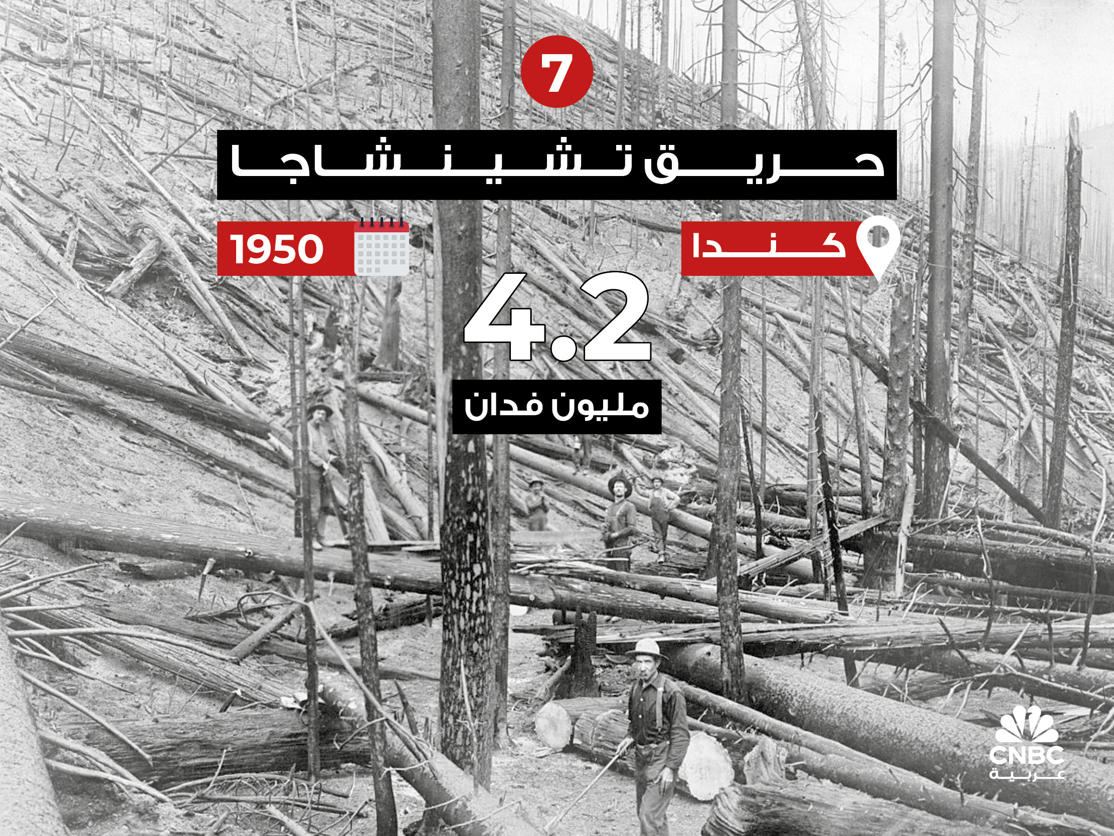 alt for aded38e1062.jpg 