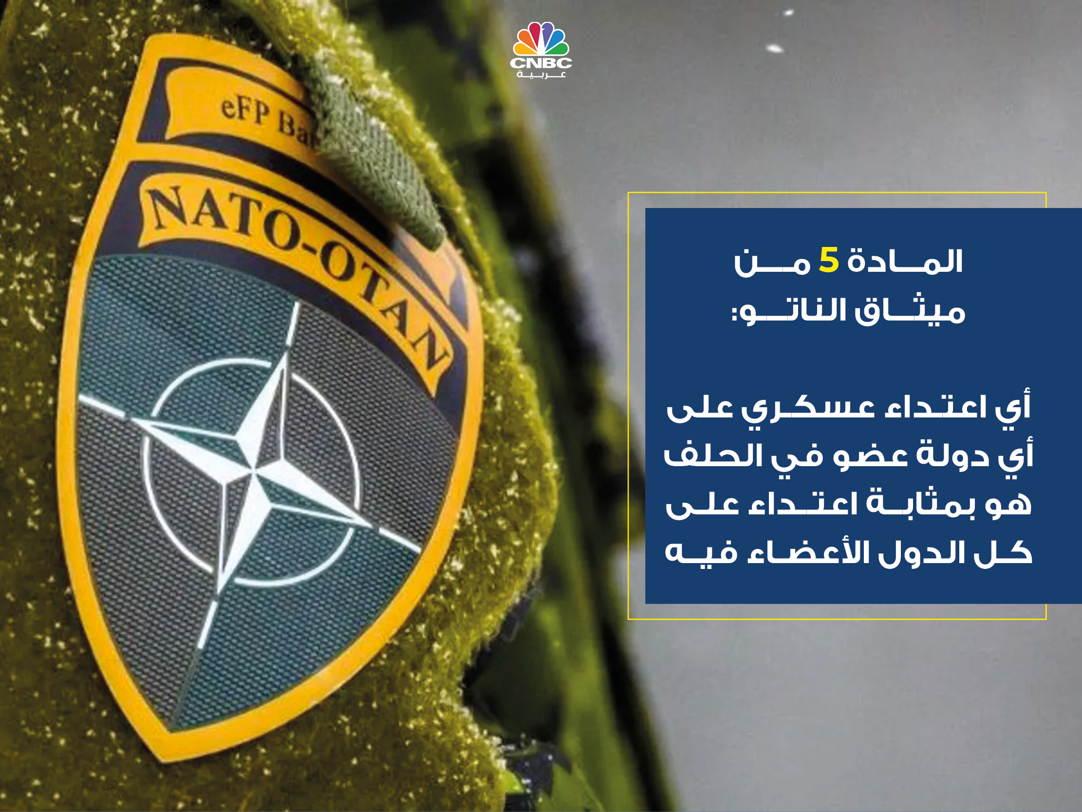 alt for af571eac62.jpg 