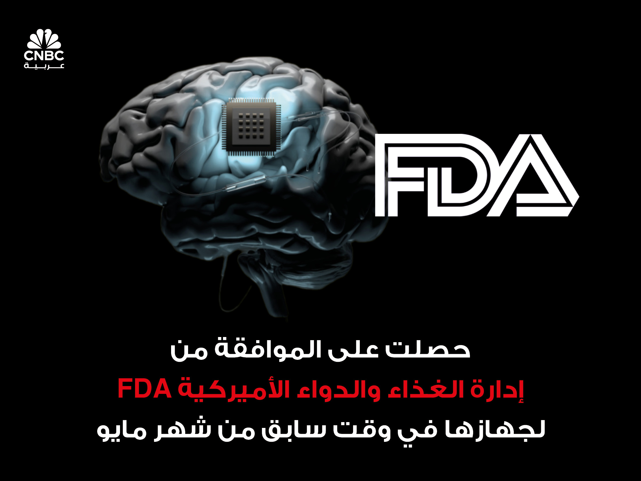 alt for b1131dab4a.jpg 