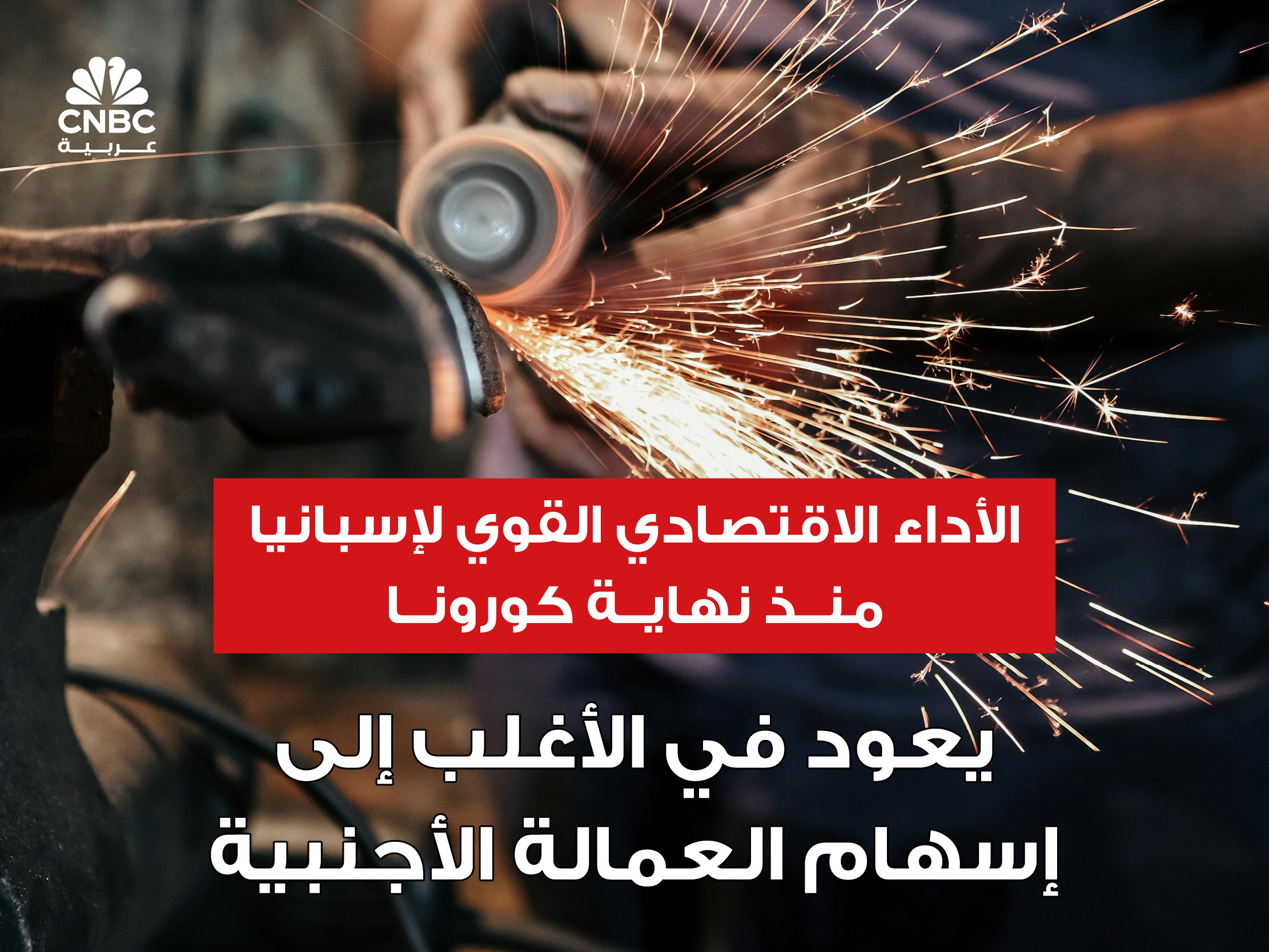 alt for b9357de1d5.jpg 