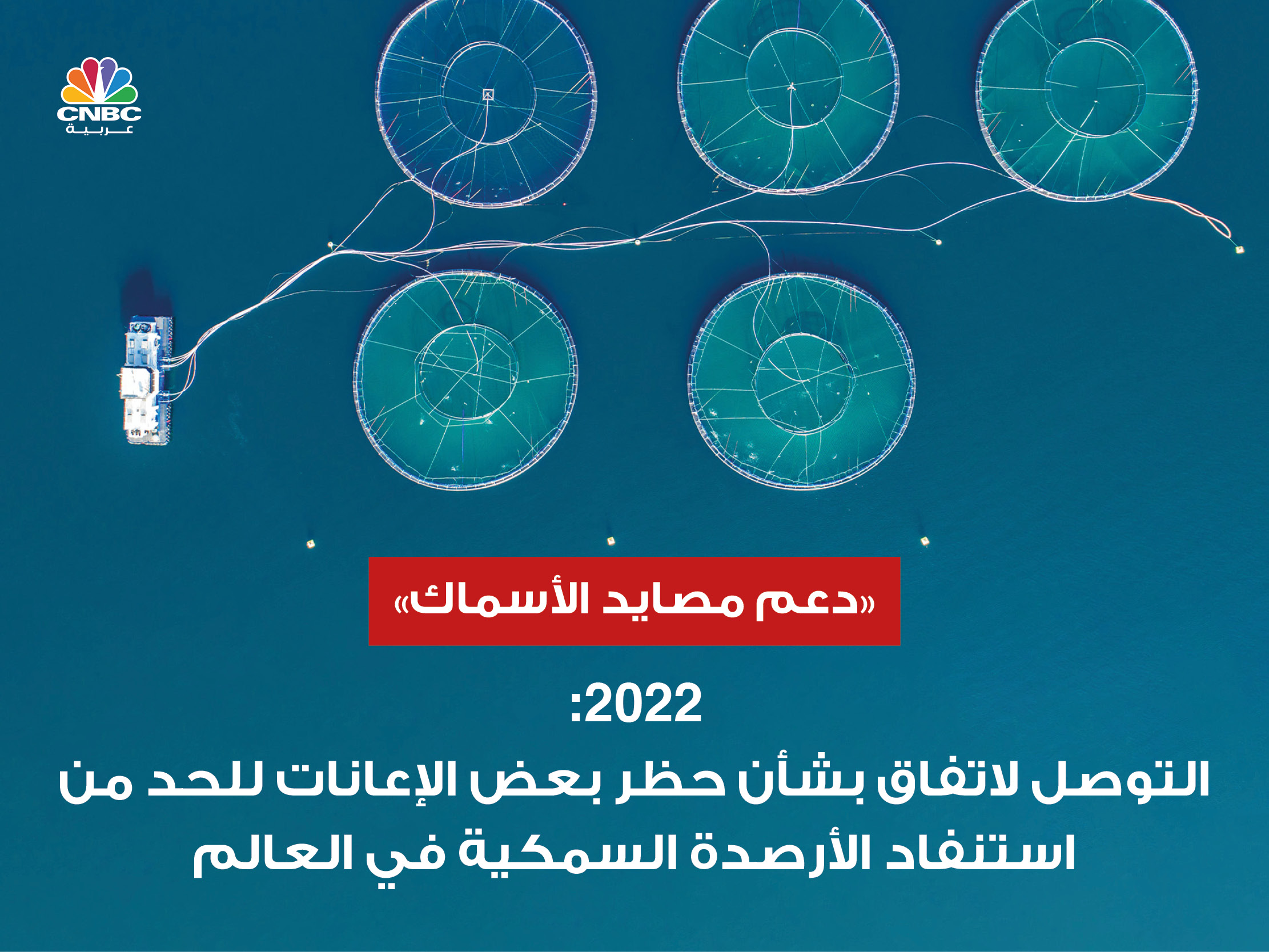 alt for bade0c2d57.jpg 