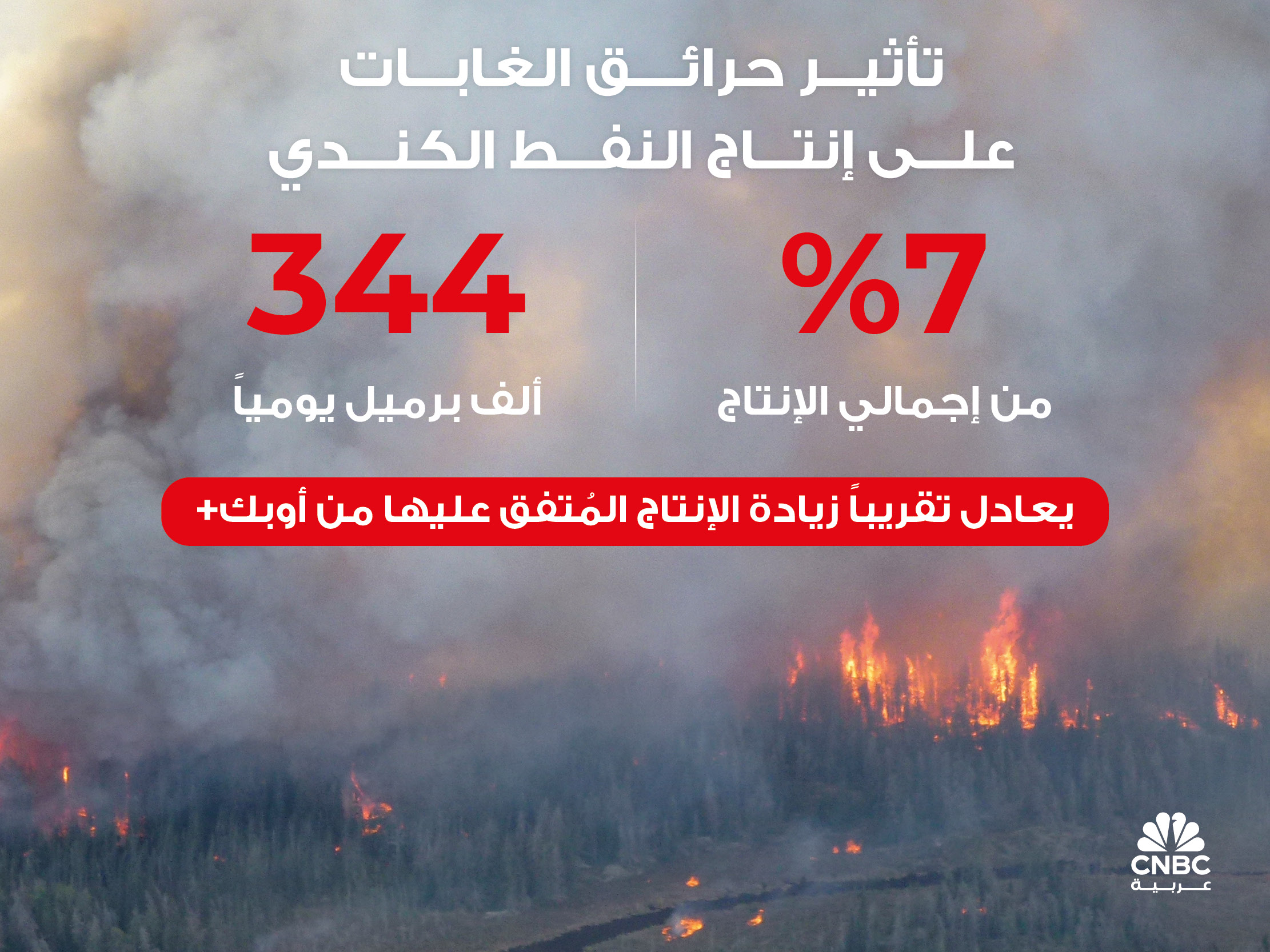 alt for bcc46f5527.jpg 