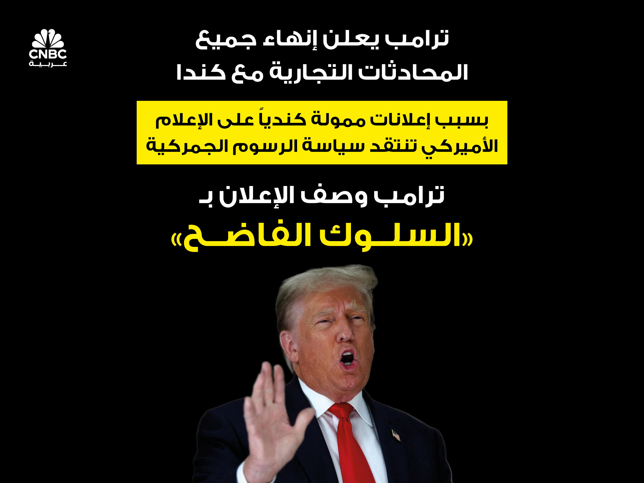 alt for c07810100364.jpg 