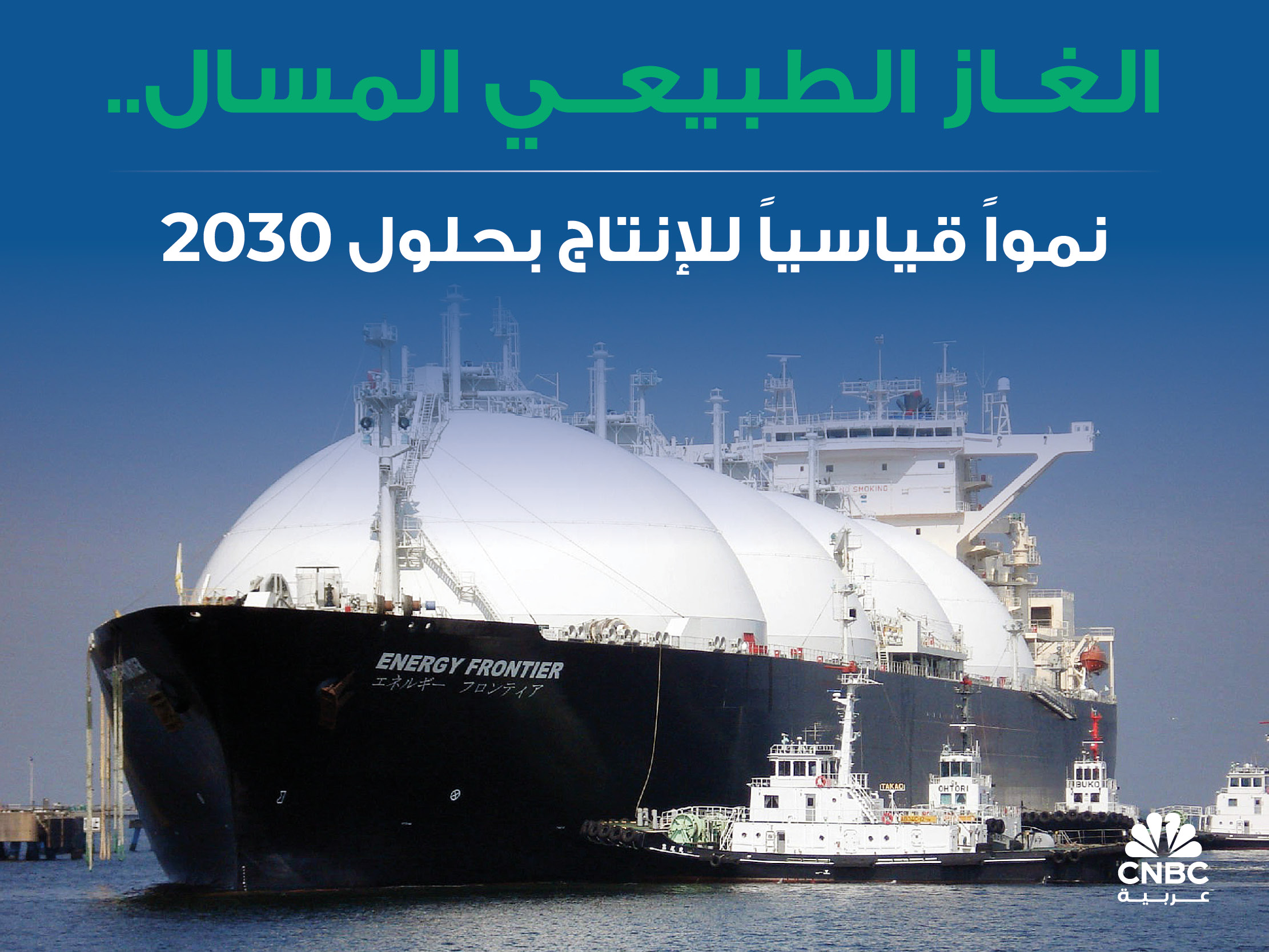 alt for c09b24b312.jpg 