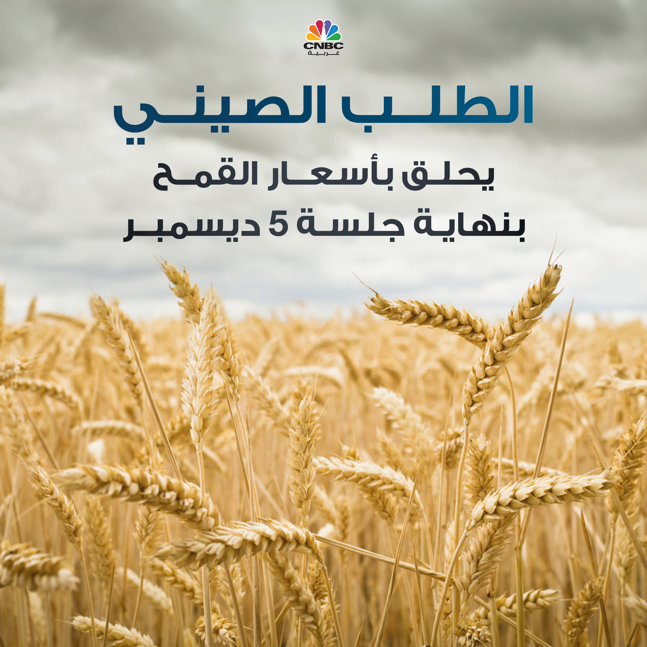 alt for c100c7c9f5e.jpg 