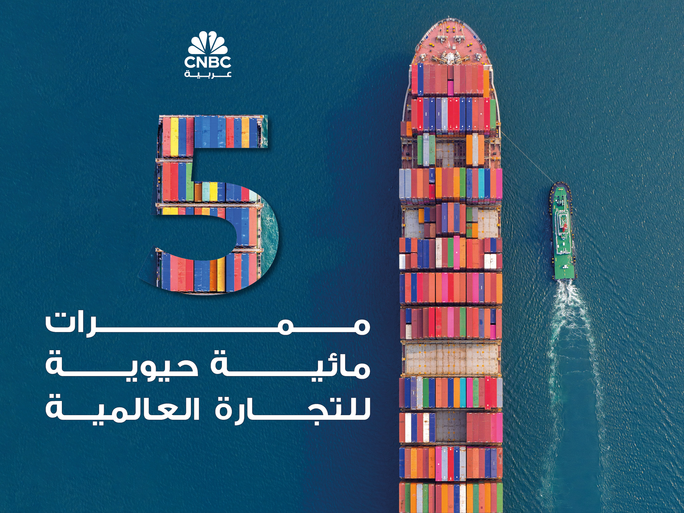 alt for c81aad6797.jpg 