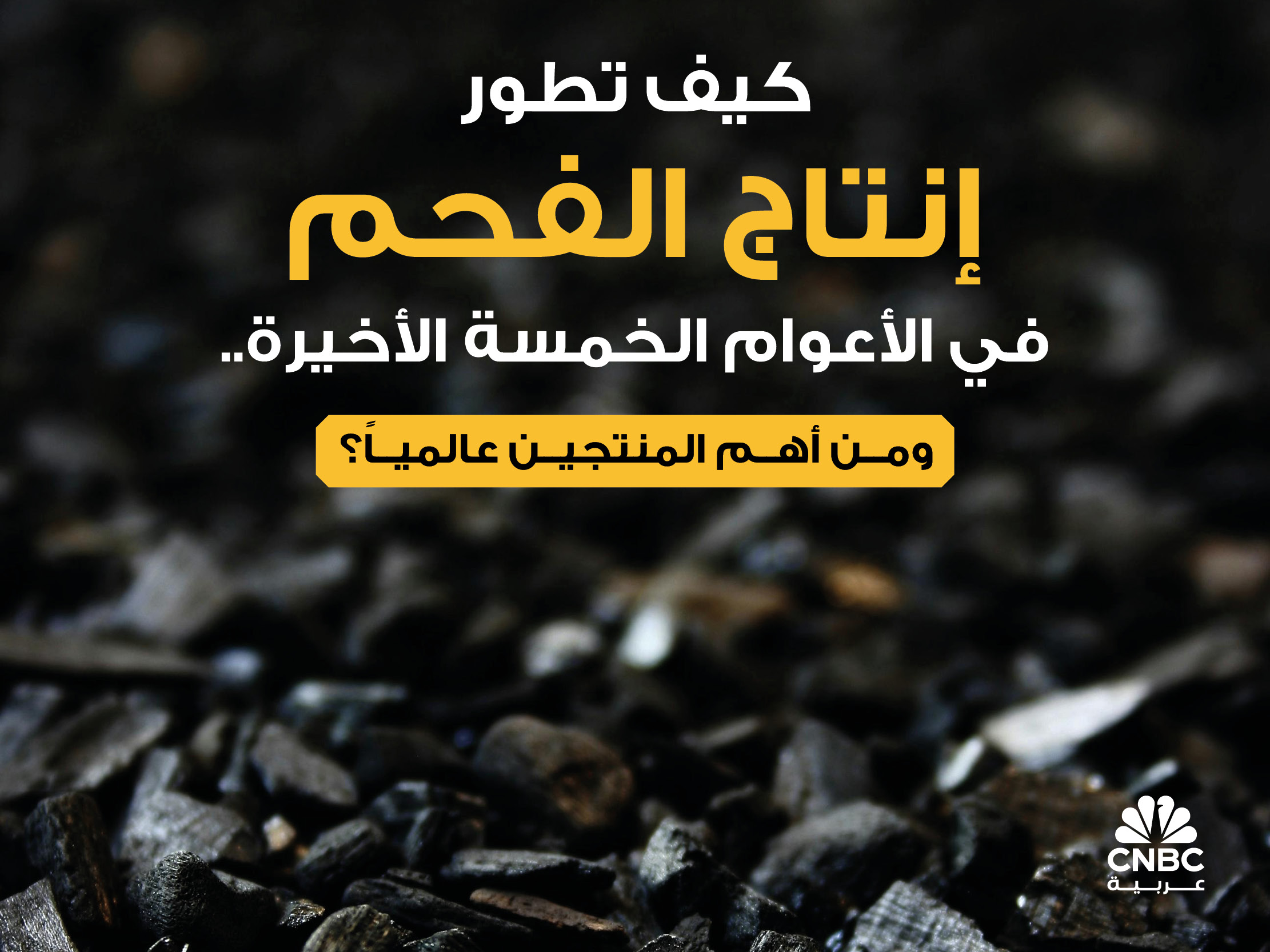 alt for c89b327b7e.jpg 