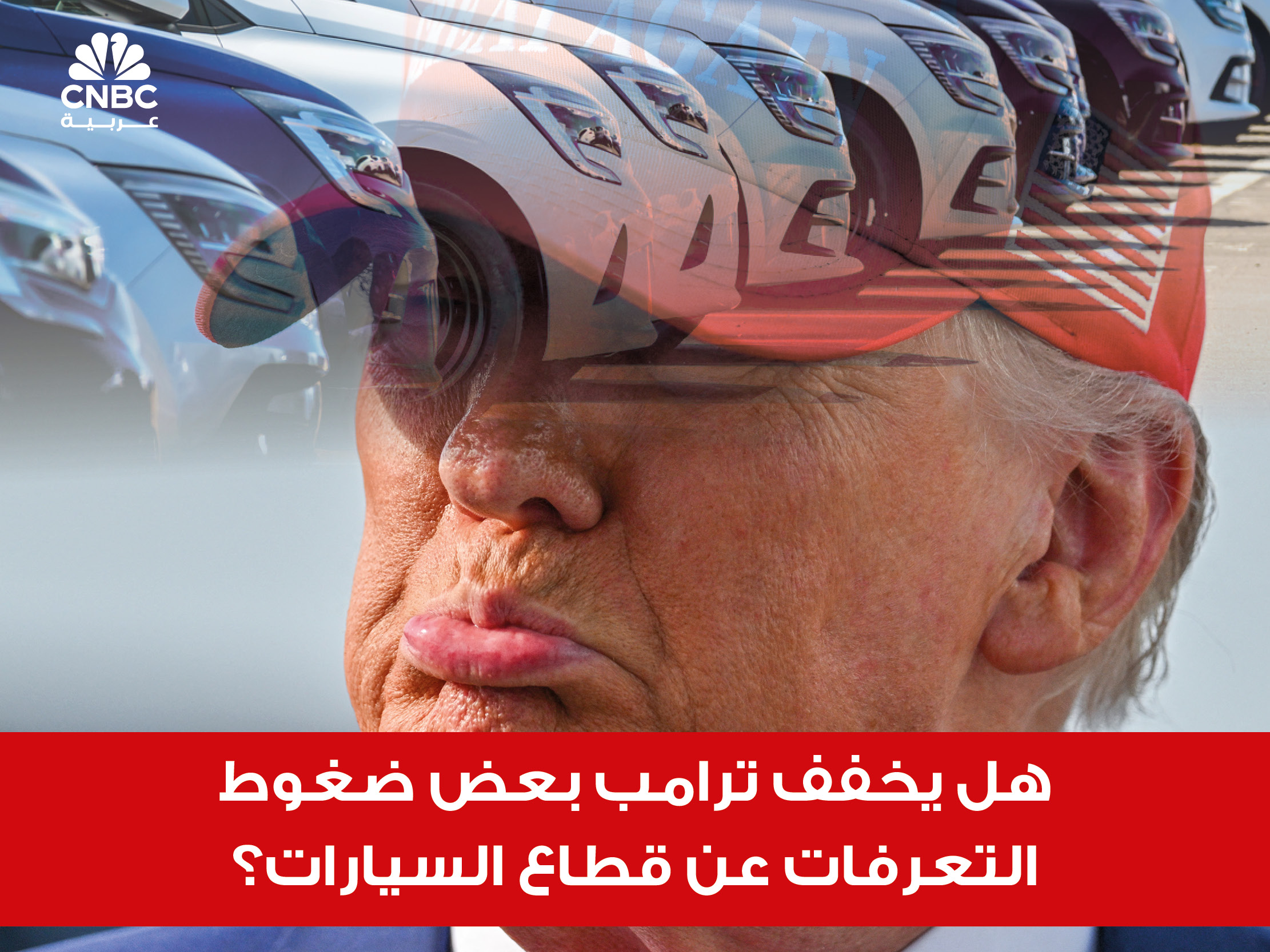 alt for cb87b95183.jpg 