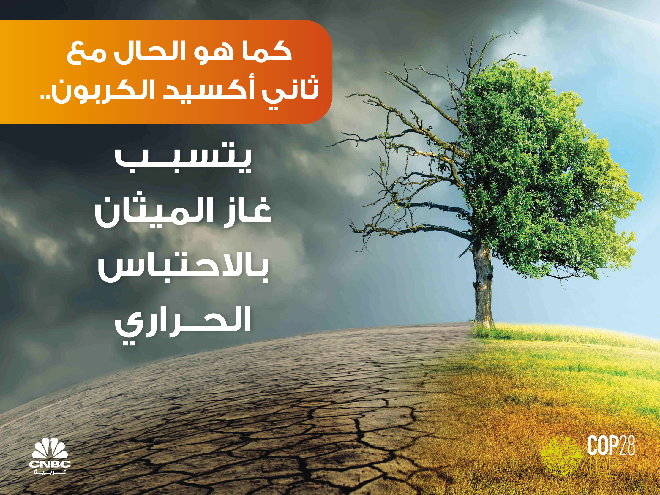 alt for cbc899cc5d.jpg 