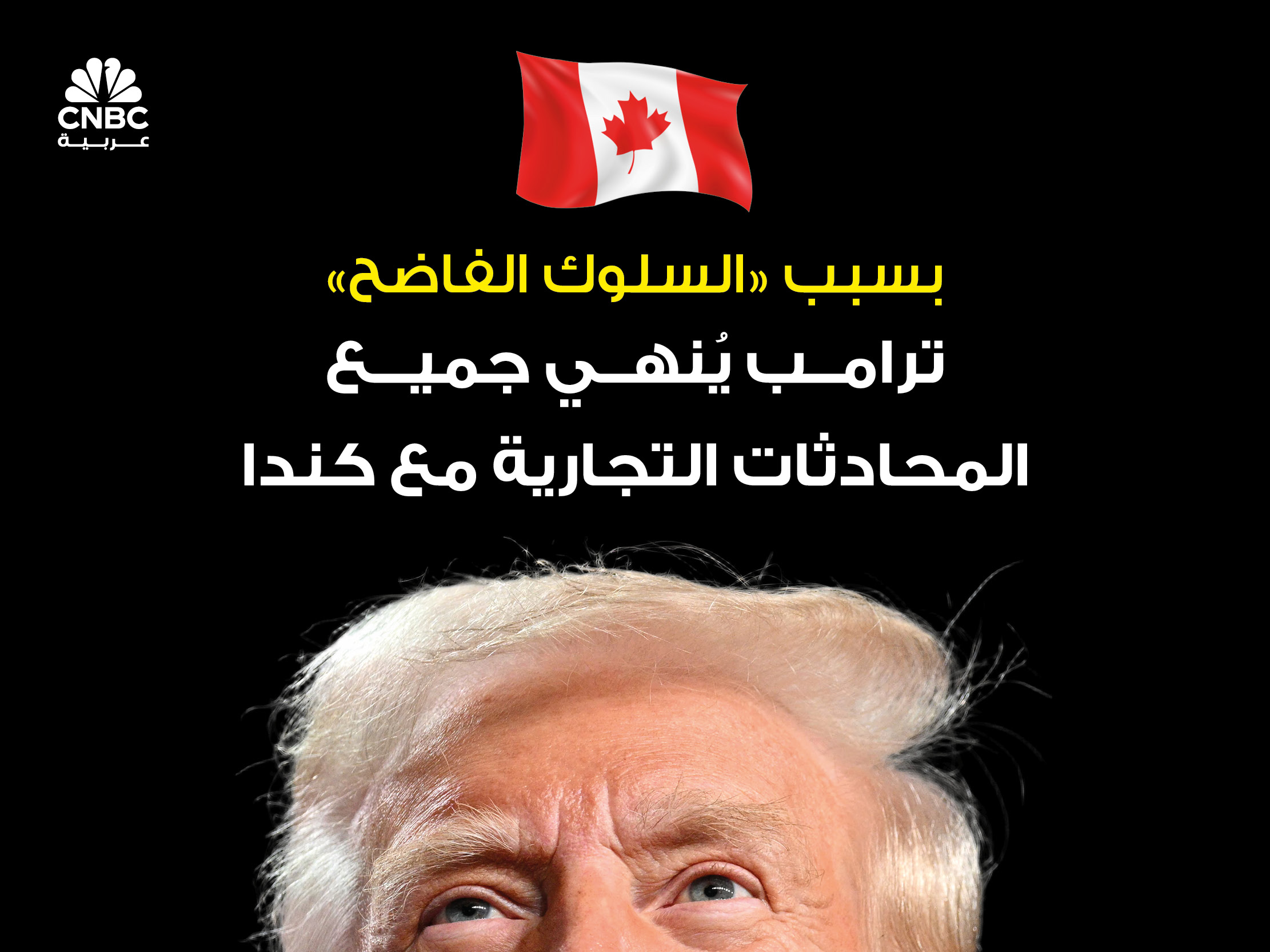 alt for cdfdb633510.jpg 