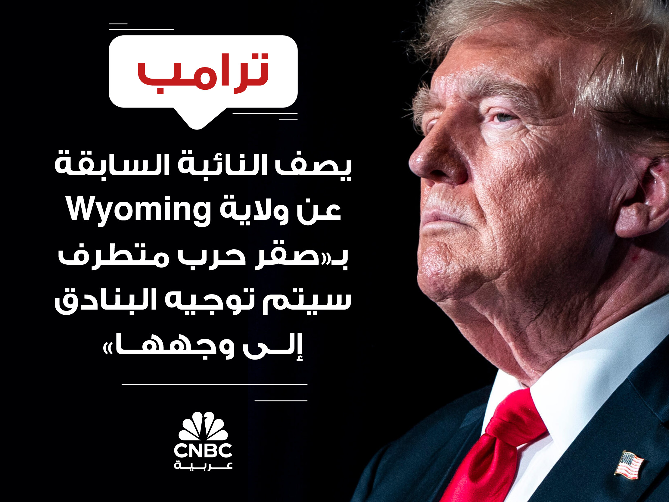 alt for cfc1689295.jpg 