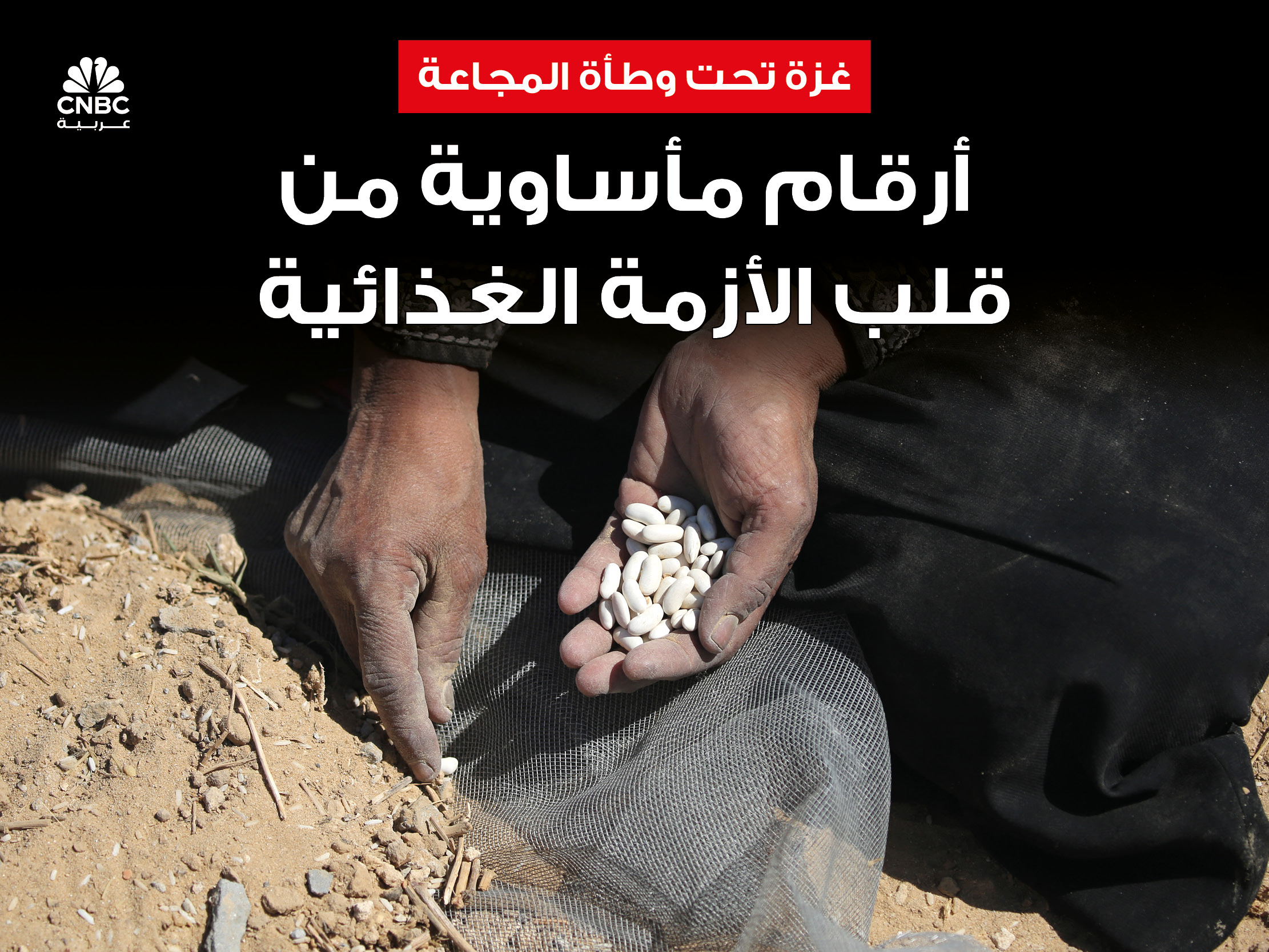 alt for d28fd134b9.jpg 