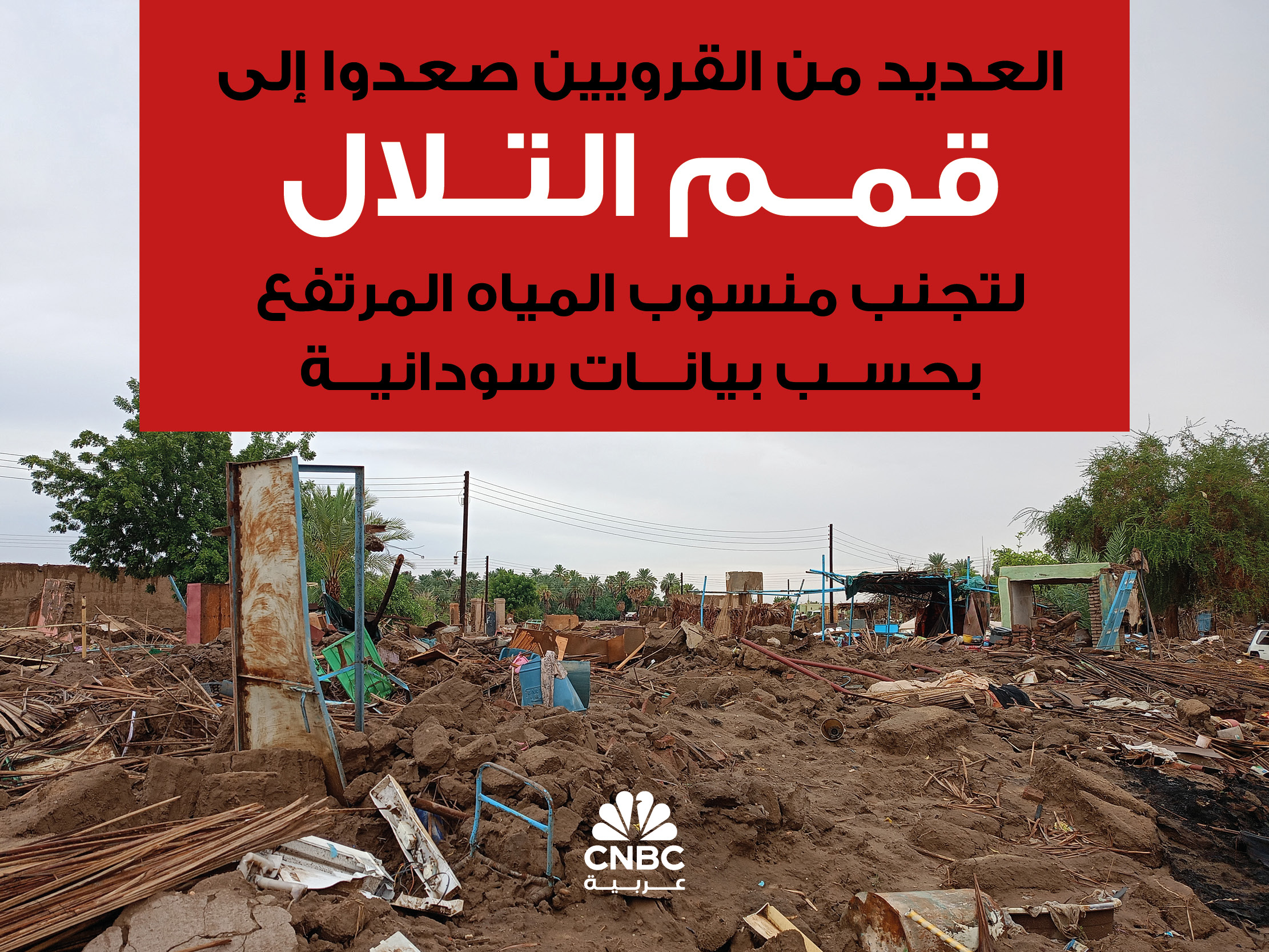 alt for d81d658036.jpg 