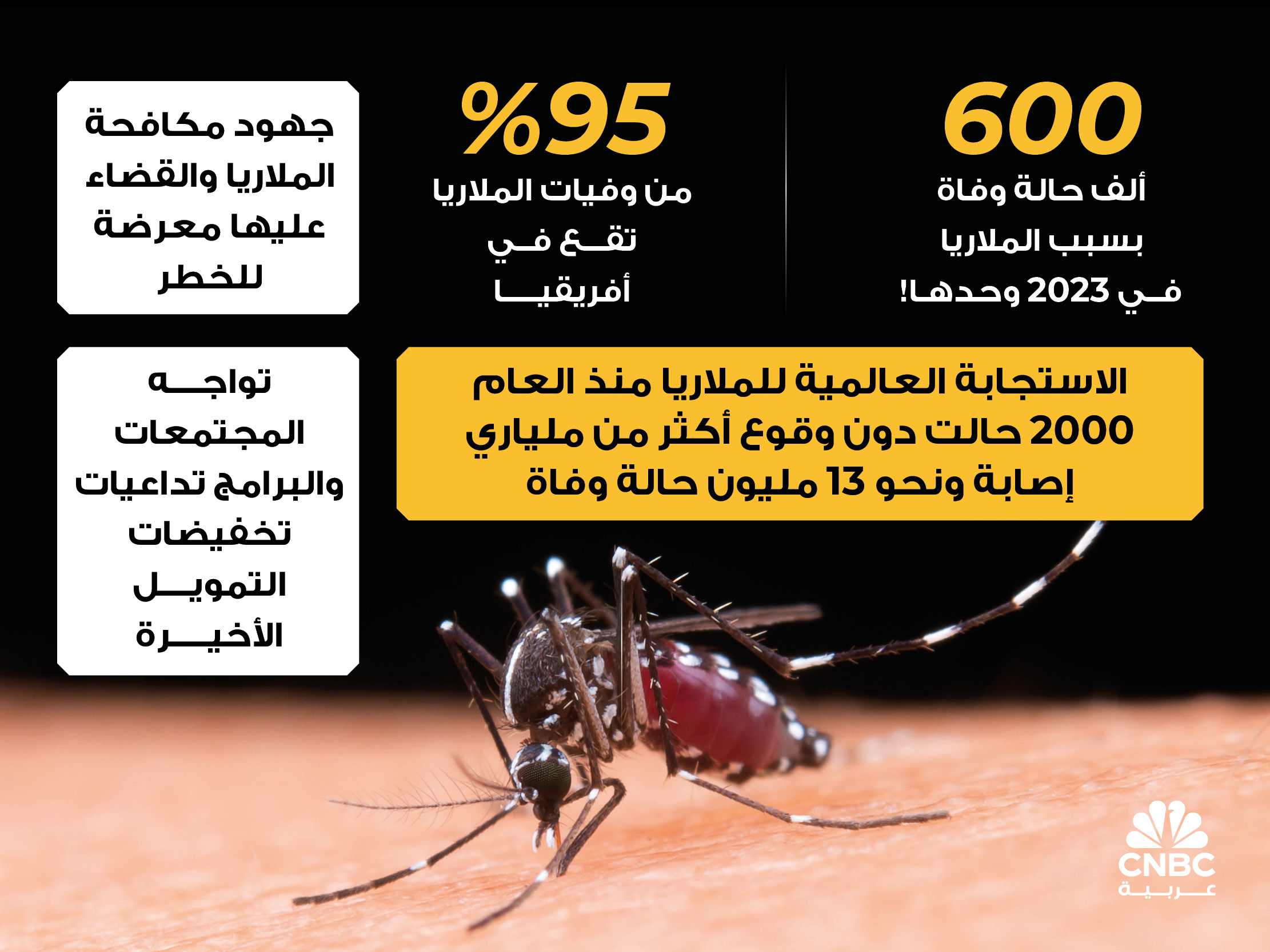 alt for da317983ae.jpg 