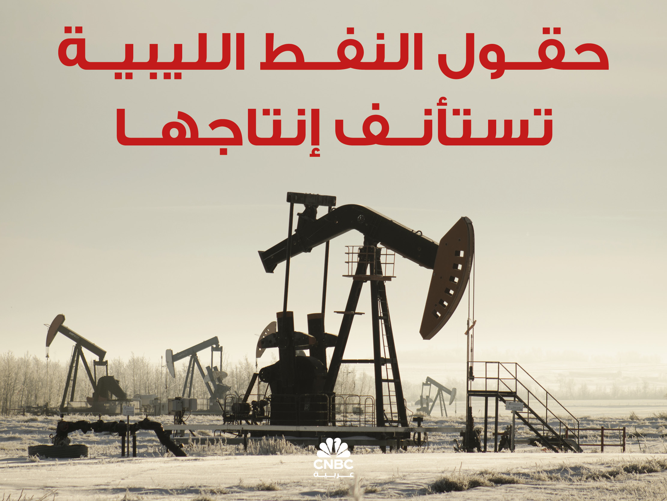 alt for dc2a9bff41.jpg 