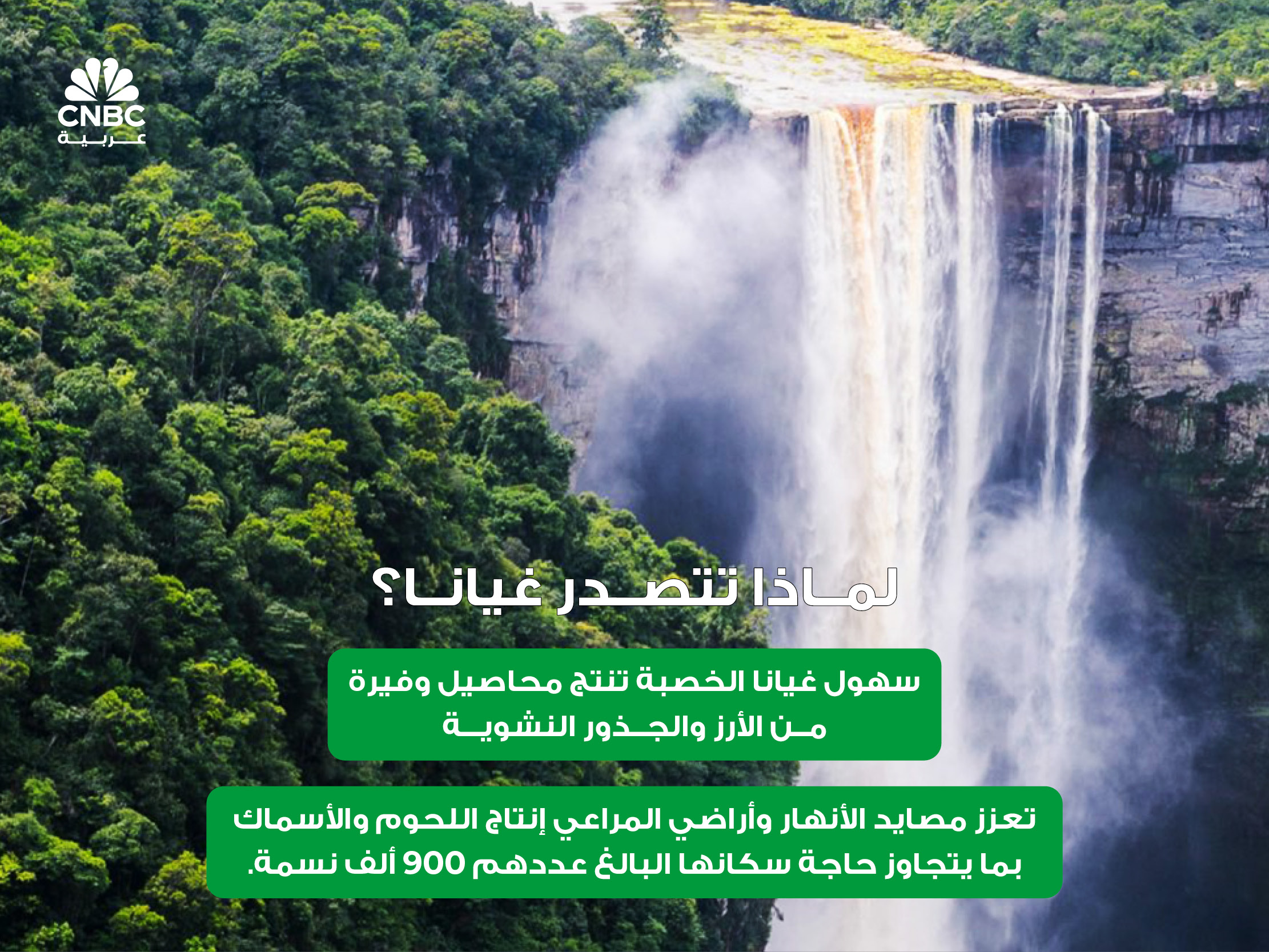 alt for dc9609ade5.jpg 