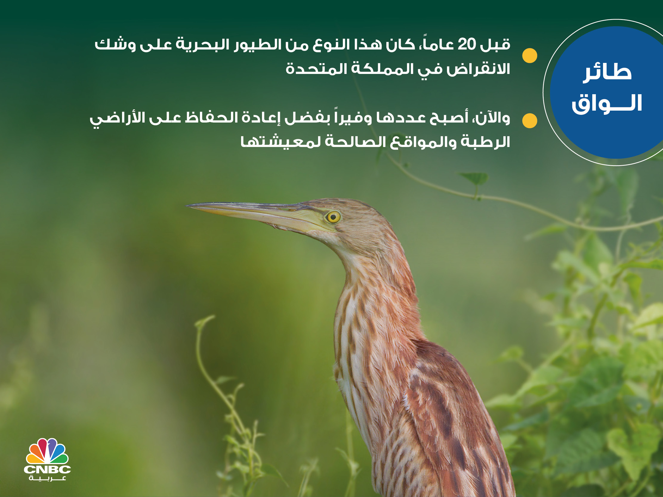 alt for df1beaf851.jpg 