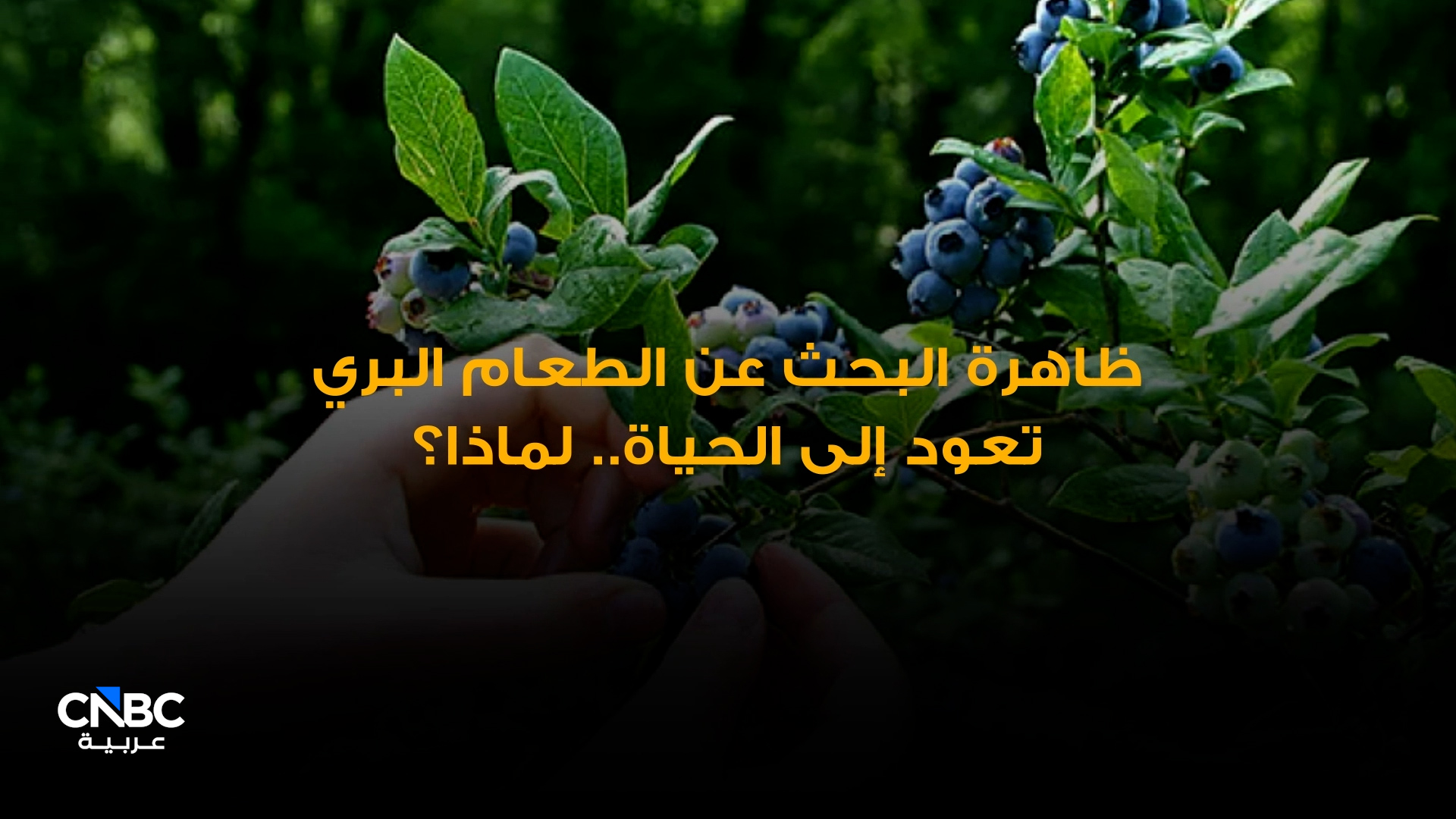 البحث عن الطعام في الطبيعة.. موضة جديدة أم ضرورة؟ 