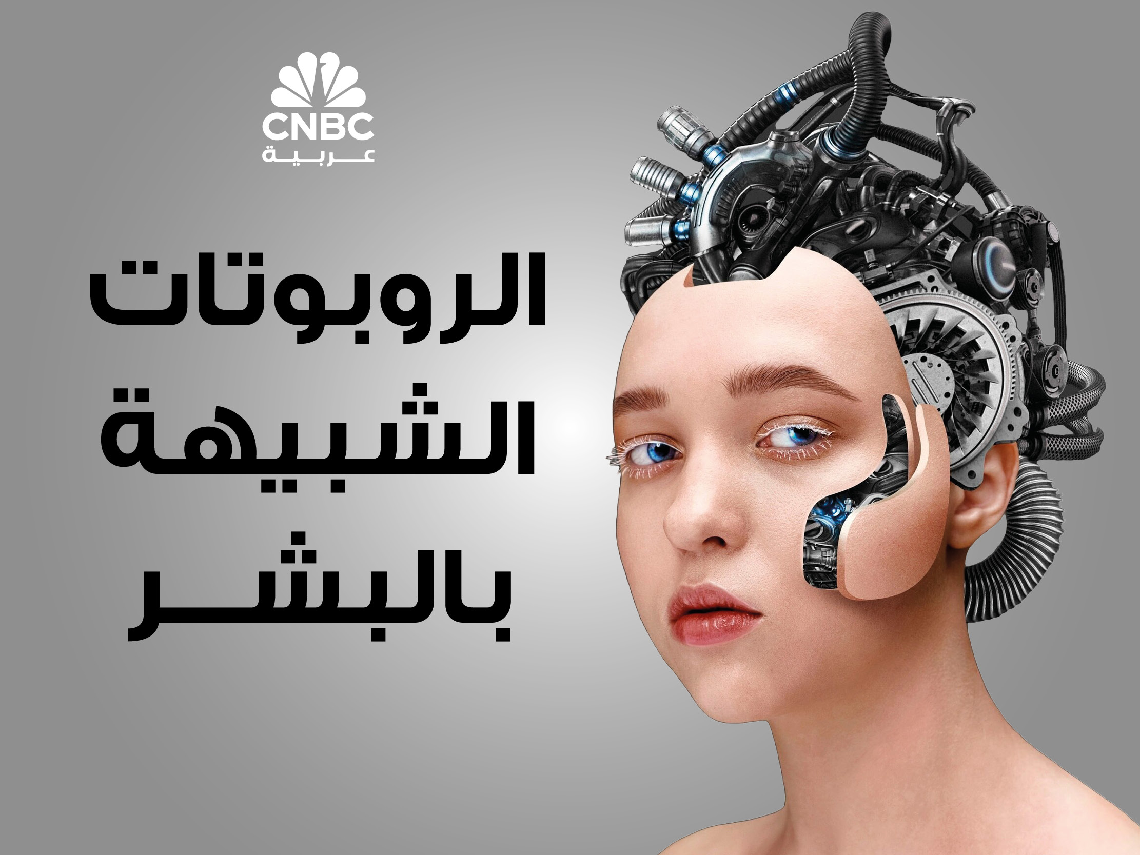 alt for dfd7ea1010e9.jpg 