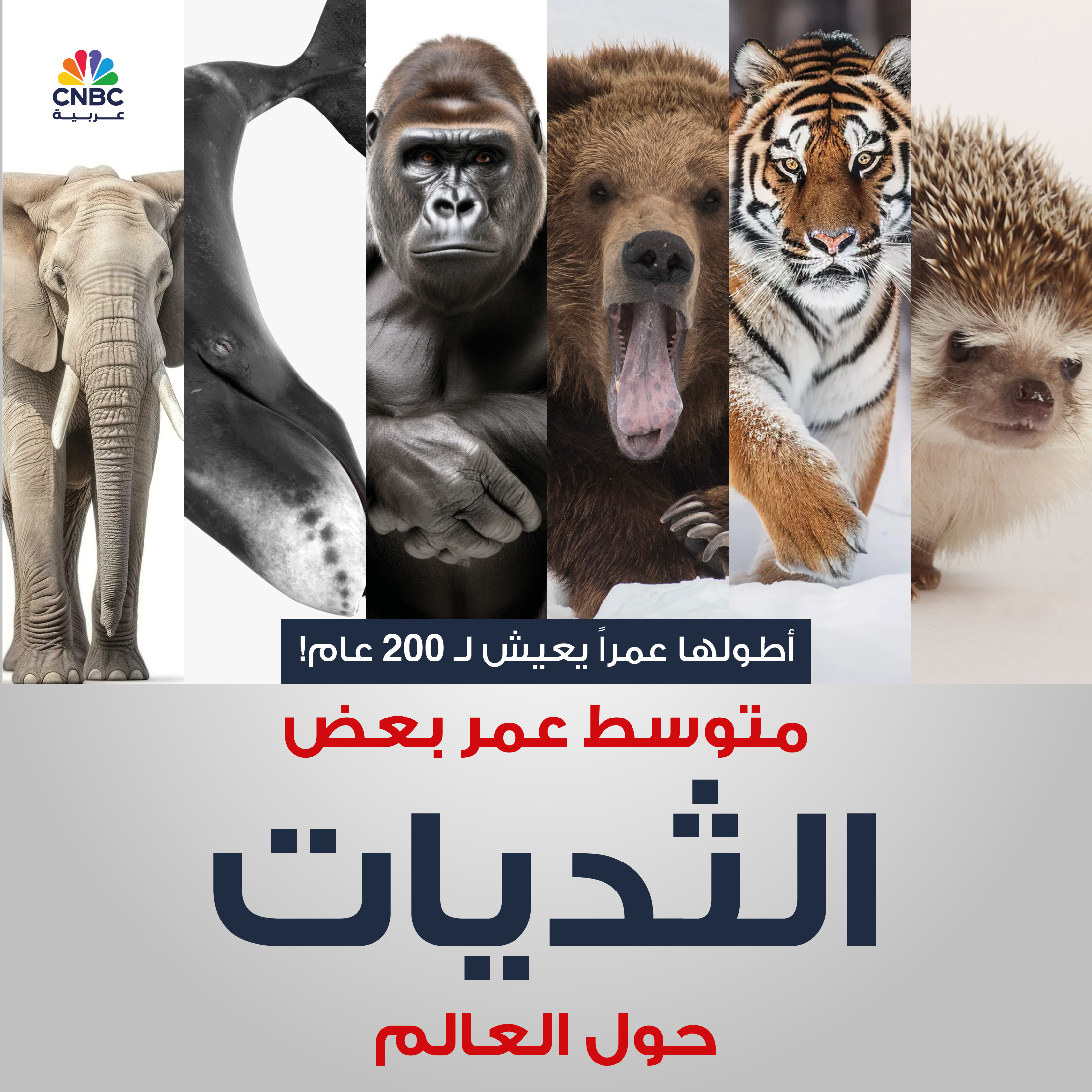 alt for e10f585d9e9.jpg 