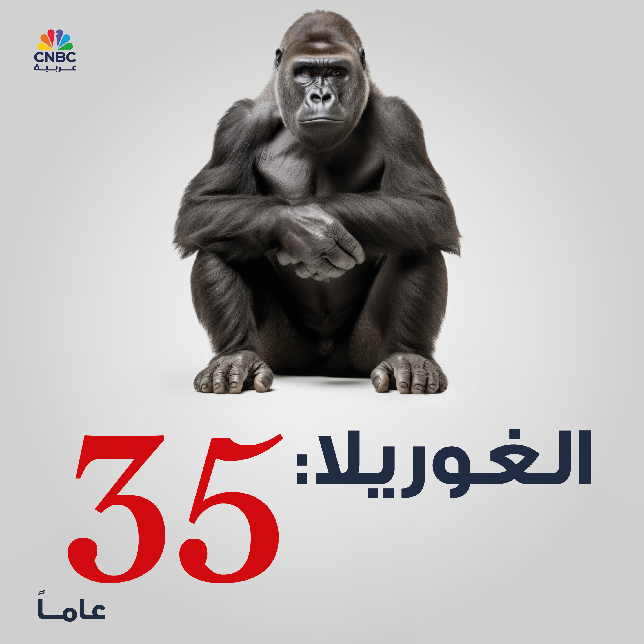 alt for e165300cc8.jpg 