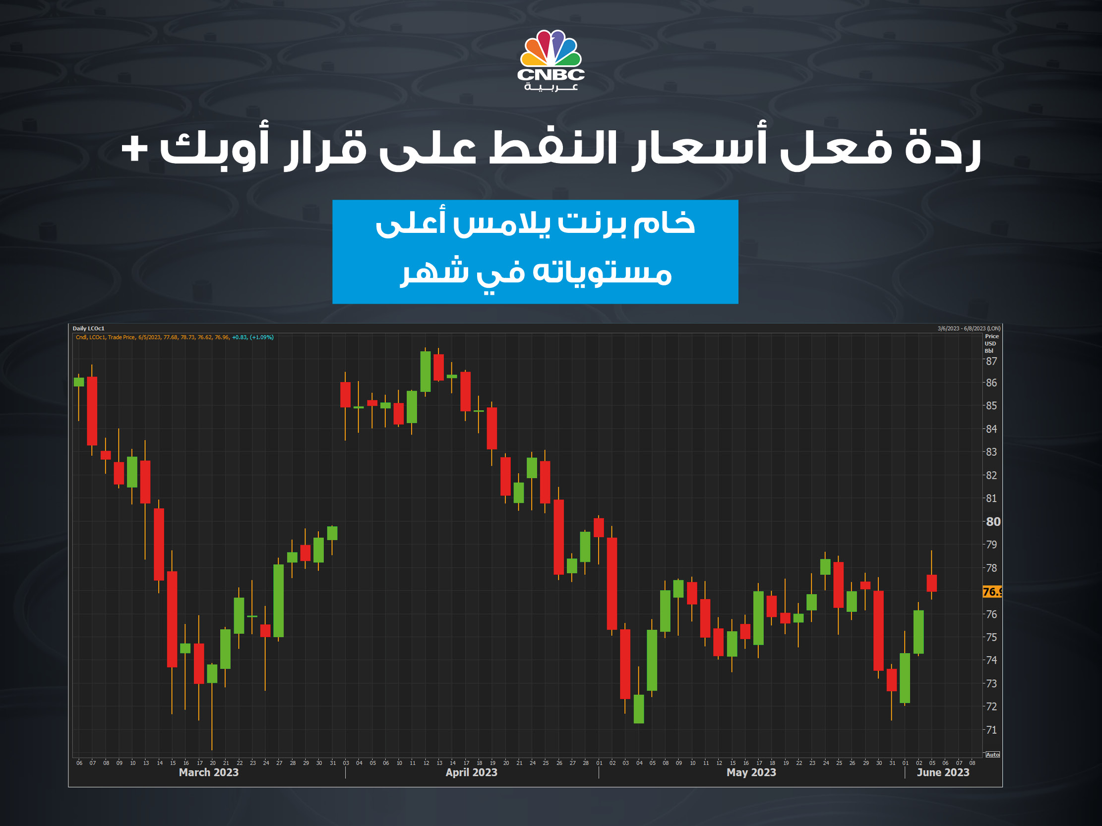 alt for e25c461bfc.jpg 