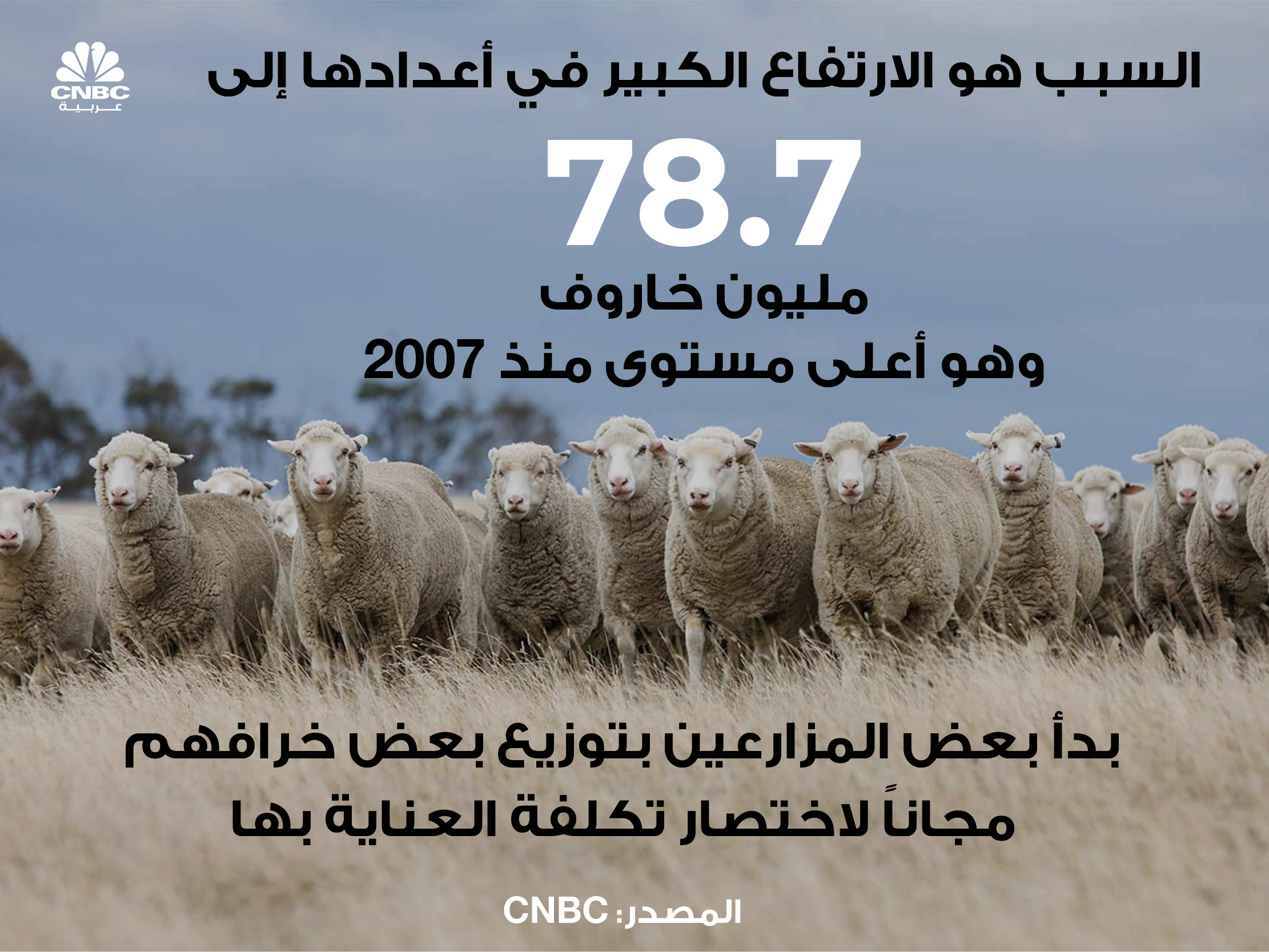 alt for e69994d1f6.jpg 