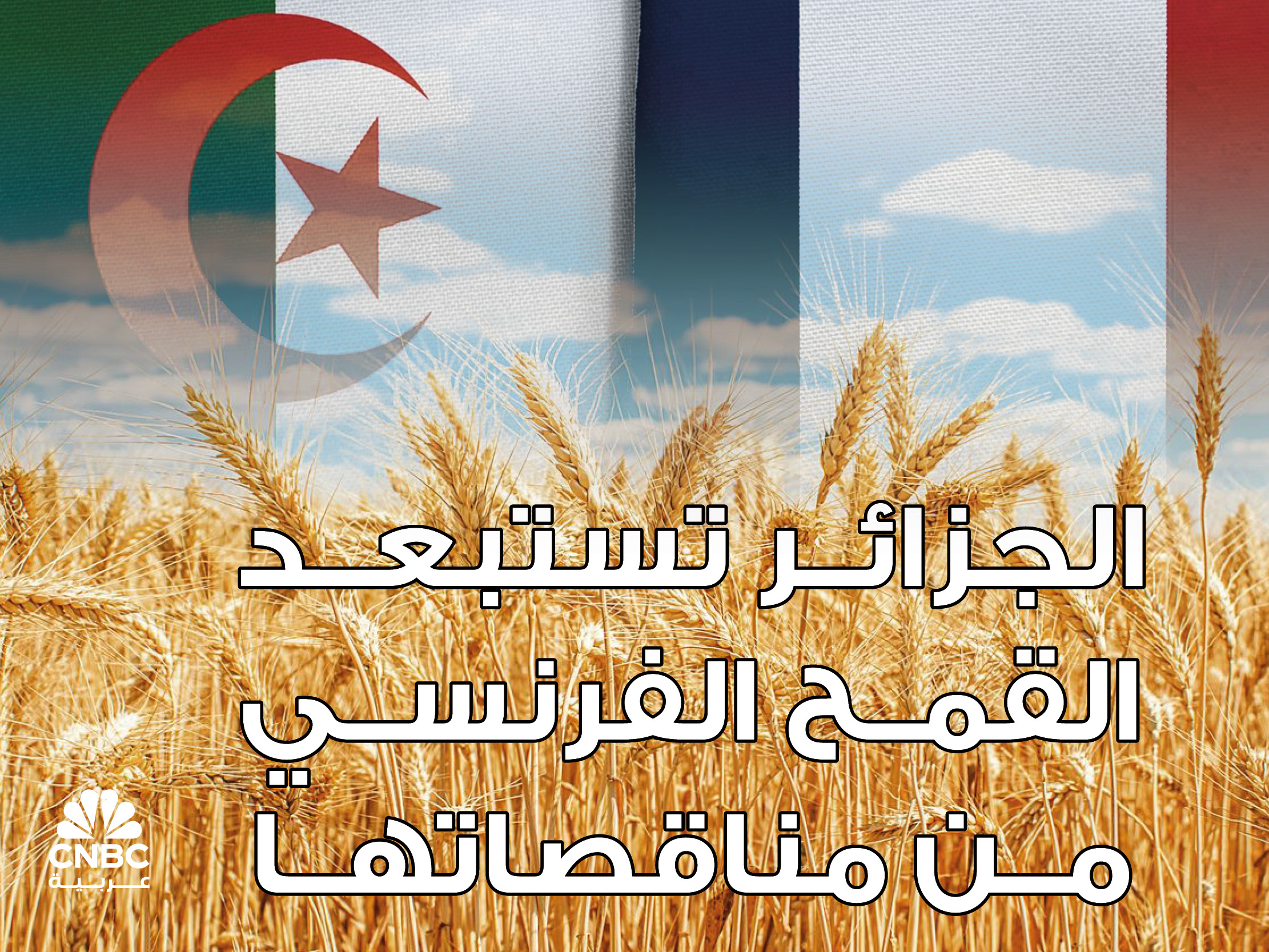 alt for ea73a4f5310.jpg 