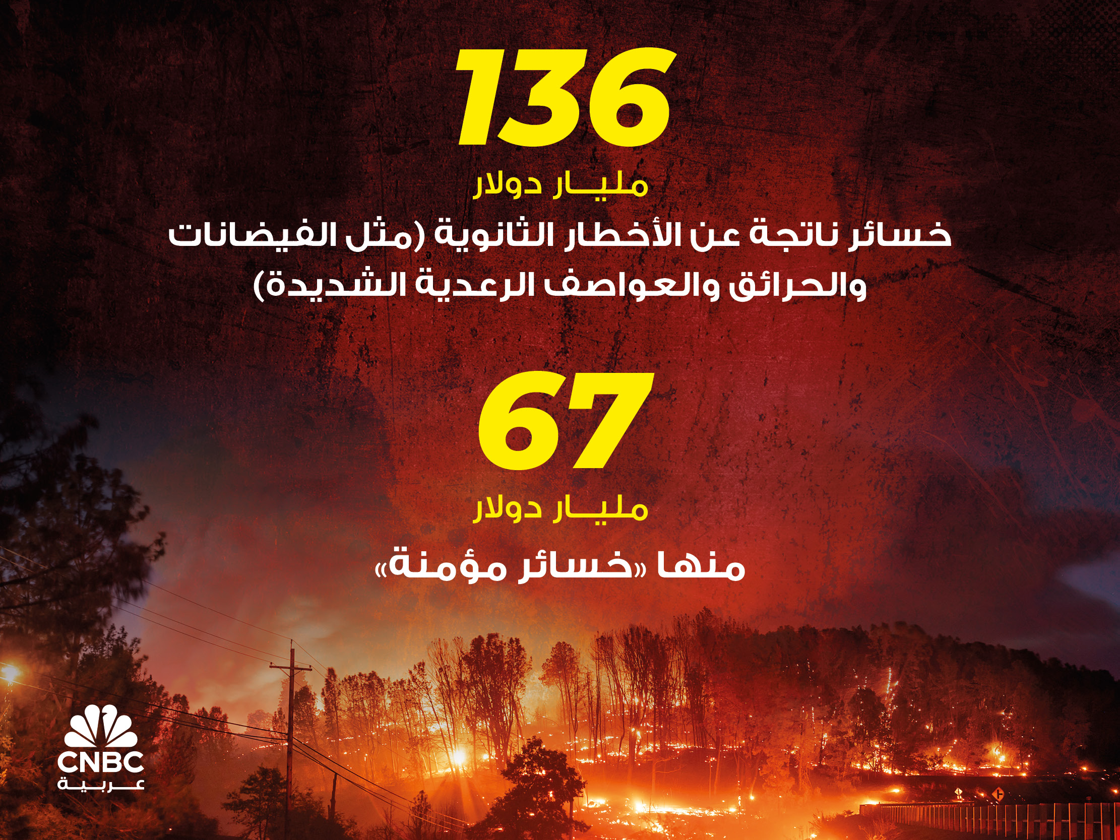 alt for f1acba3461.jpg 