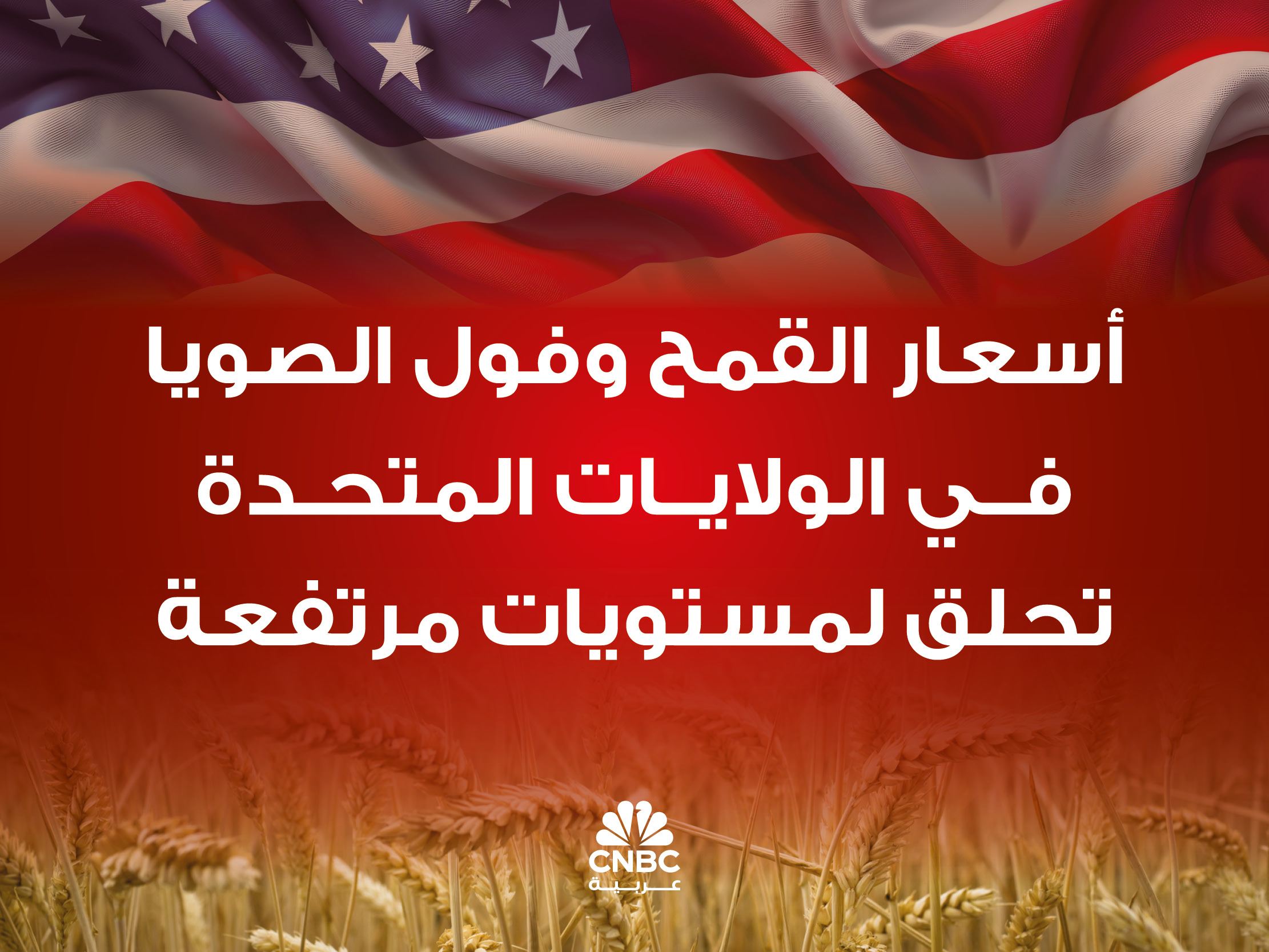 alt for f6134e5c28.jpg 