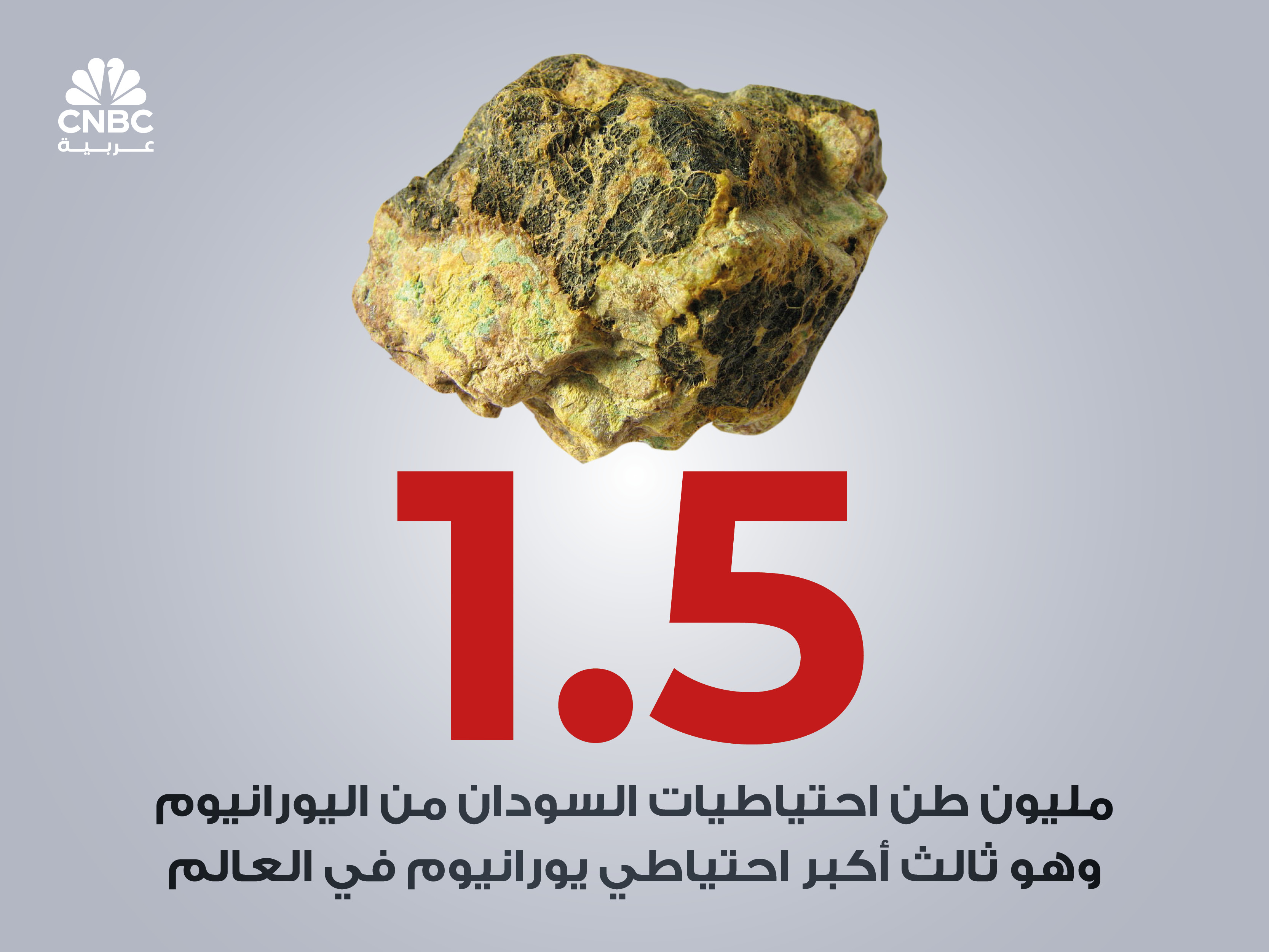 alt for f9358495aa.jpg 