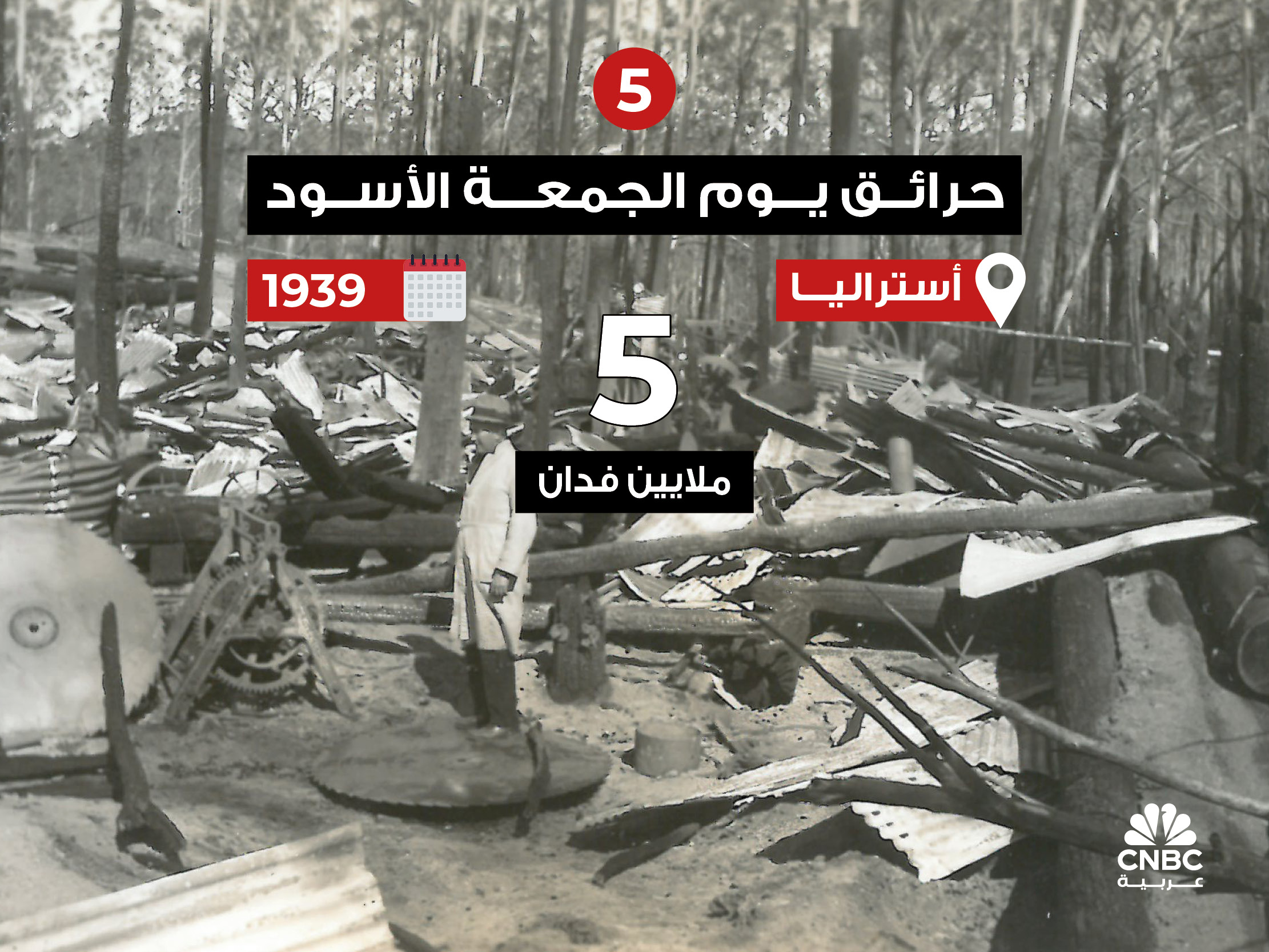 alt for fc3ea469b5.jpg 