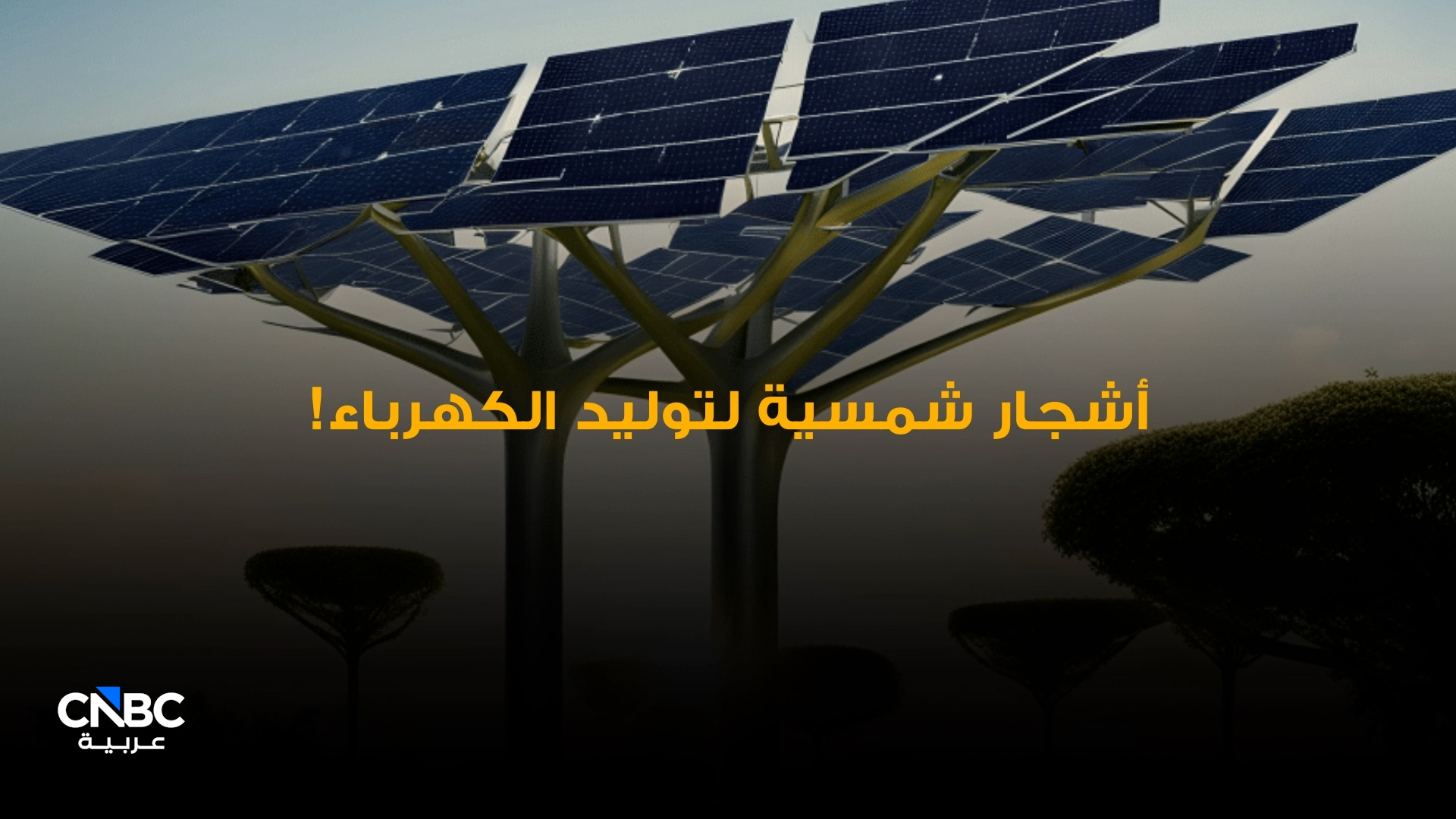 أشجار شمسية لتوليد الكهرباء 